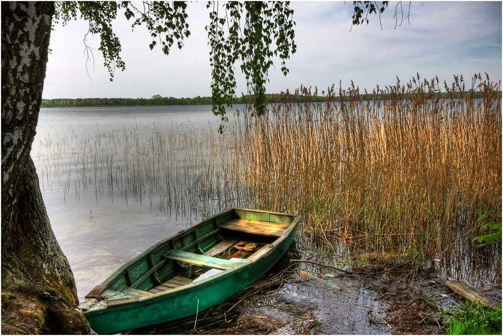 озеро, лодка, береза, Игорь Шевченко