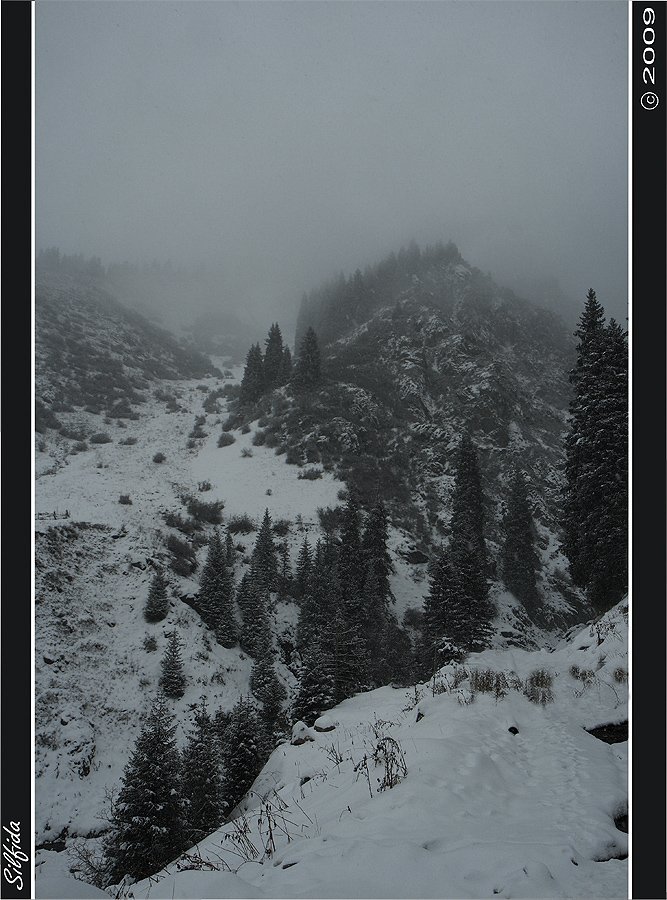 горы, снег, туман, Silfida