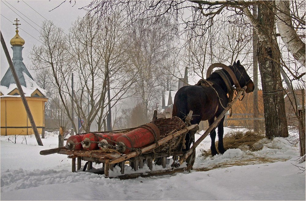 лошадь, деревня, сани, зима, Борис Пирог