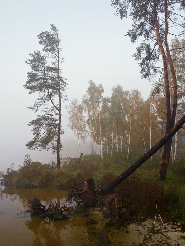 , Александр Ящук