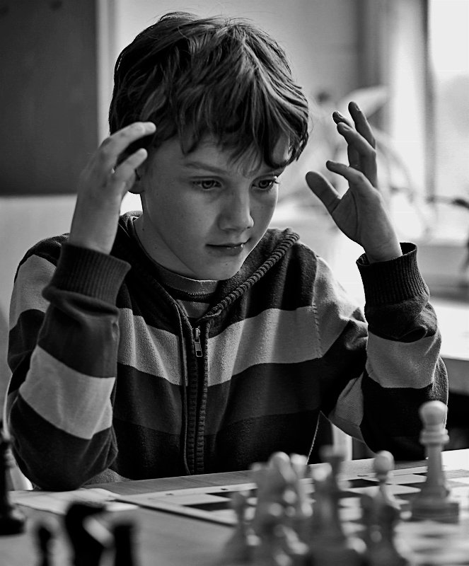 шахматы,турнир,успех, Ольга Новикова