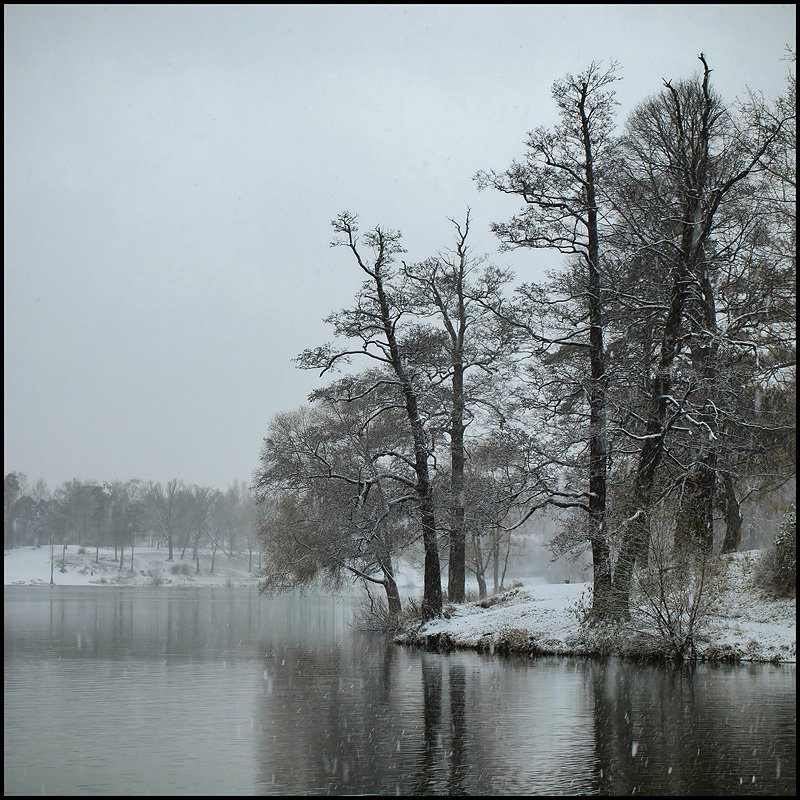 санкт-петербург, озерки, зима, снегопад, Андрей Литов