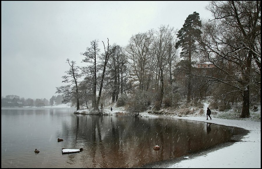 санкт-петербург, озерки, зима, Андрей Литов
