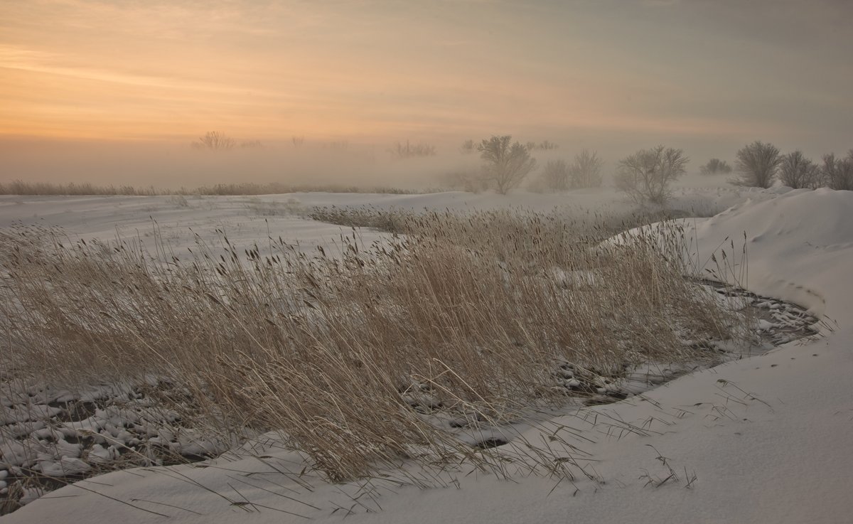 зима, речка, туман, Андрей Журавлев