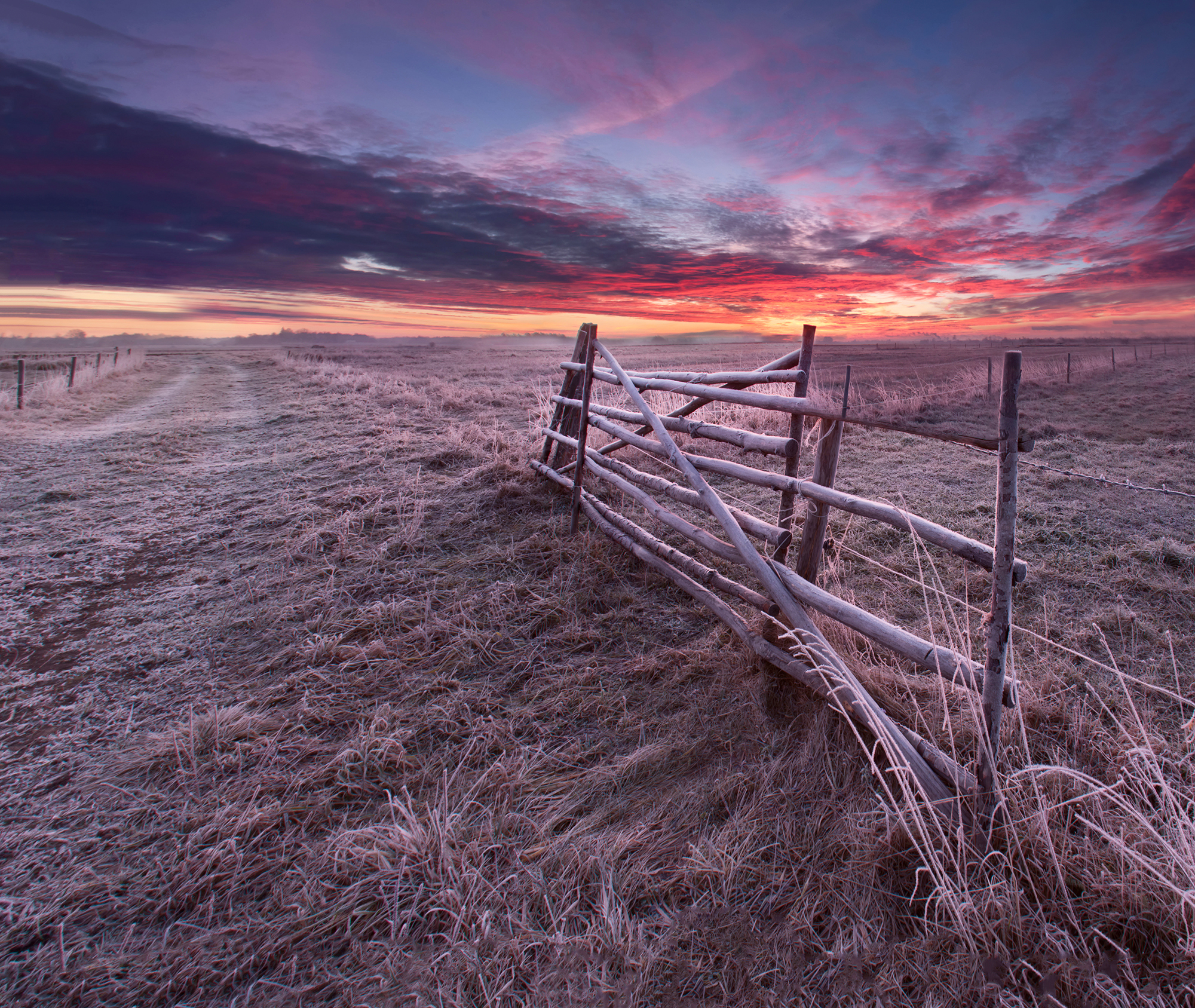 dawn,fiels,gateway, Eugenijus Rauduve