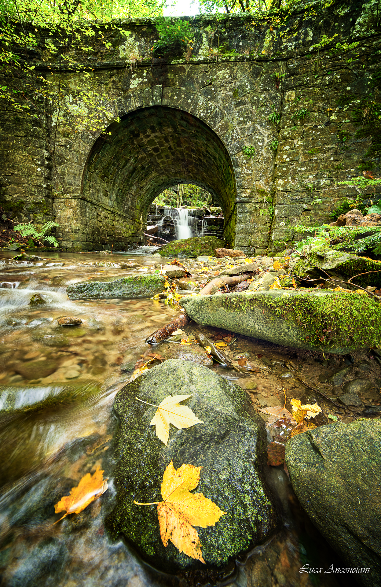 leaves tuscany autumn italy water stream nature, Anconetani Luca