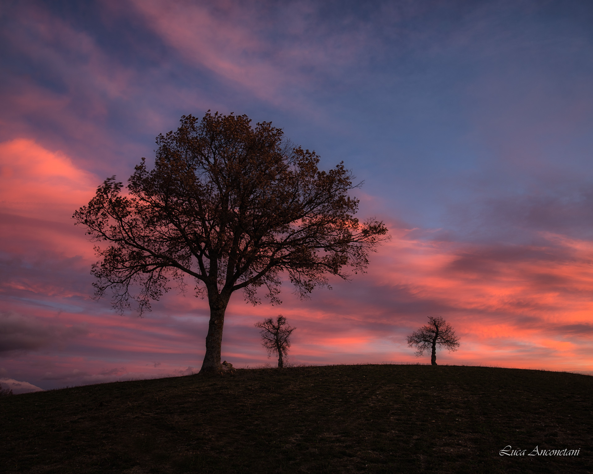 hills color sunrise trees fields, Anconetani Luca