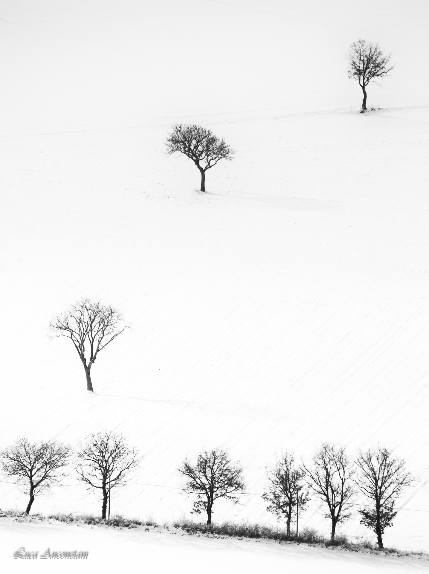 b/w contrast monochrome snow winter cold white, Anconetani Luca