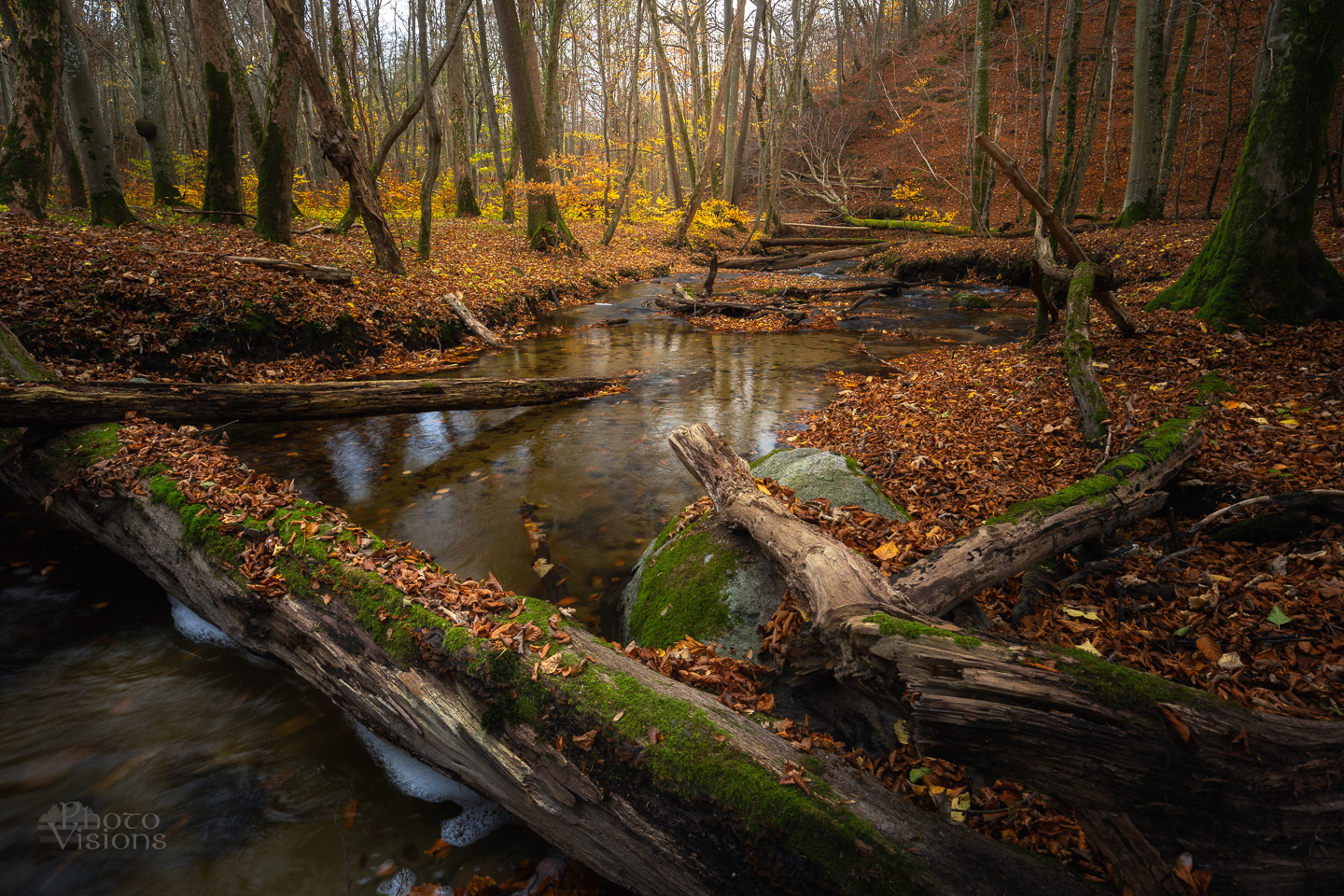 forest,autumn,river,nature,landscape,woodland,trees,woods,, Photo Visions