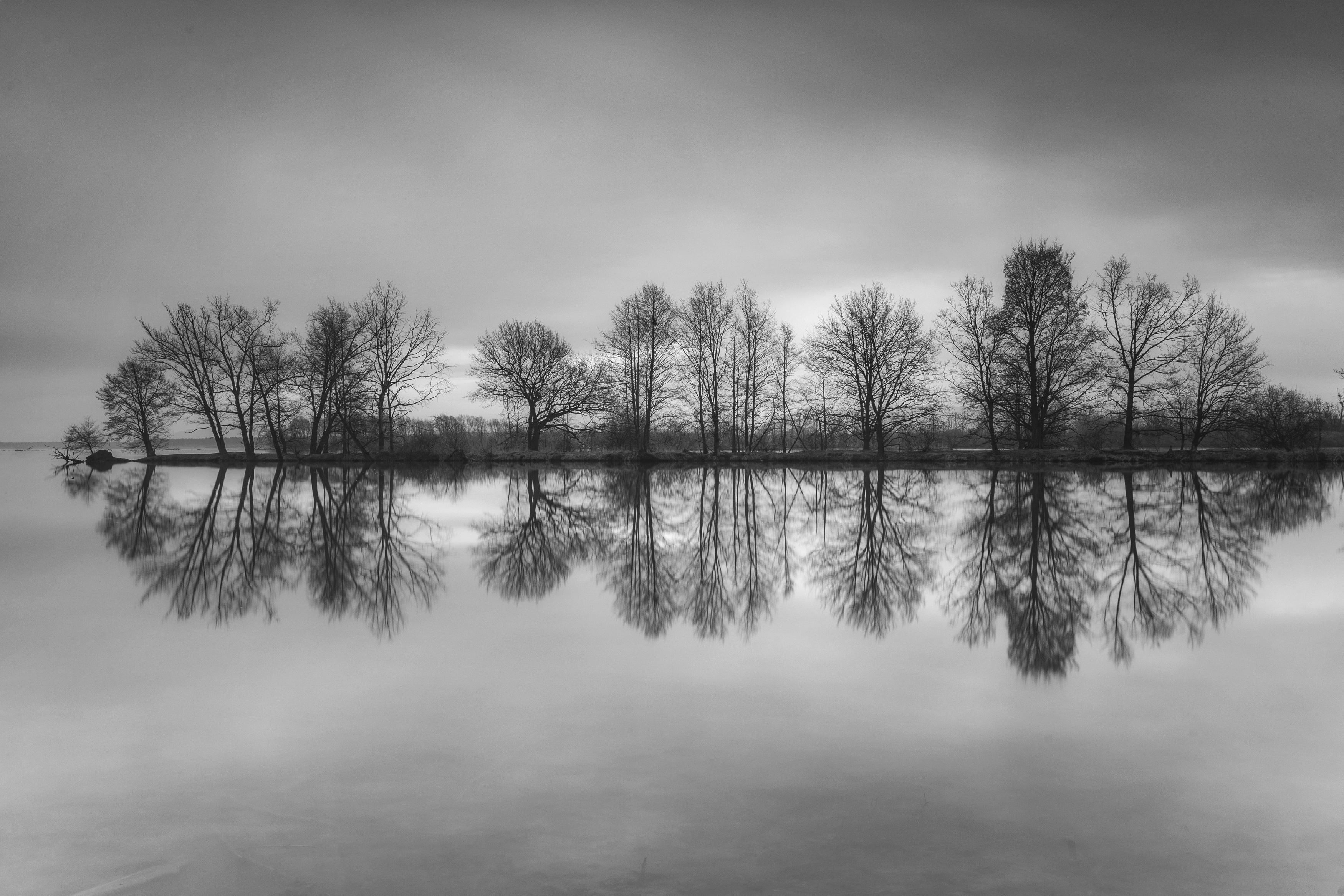 Horizontal, Photography, Nature, Reflection, Trees, Water, Nature, Lake, Sky, Day, Tranquility, Black&white, Damian Cyfka