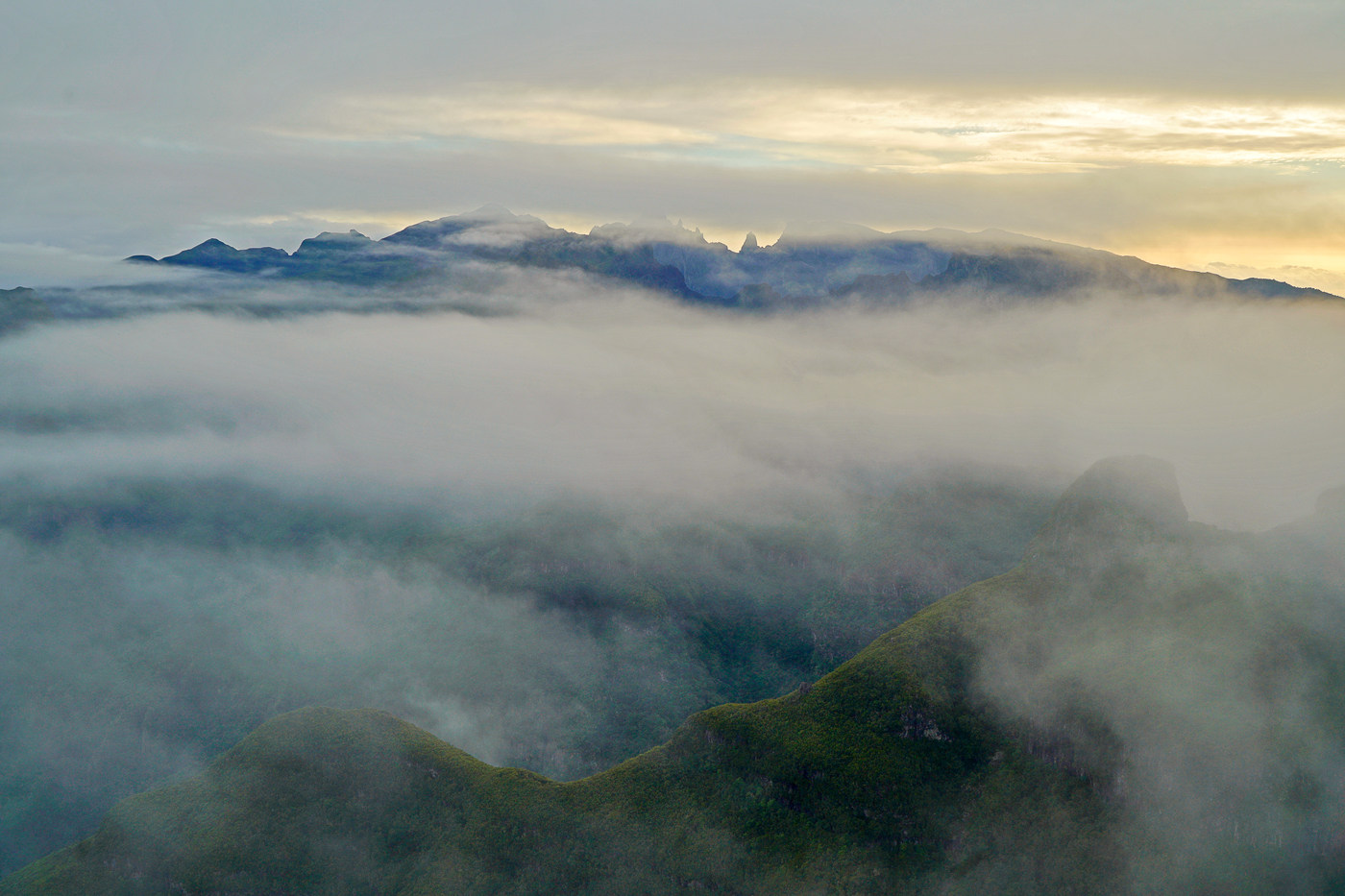 madera , landscape , sunrise , portugal , mountains , mist , fog , green, Rafal