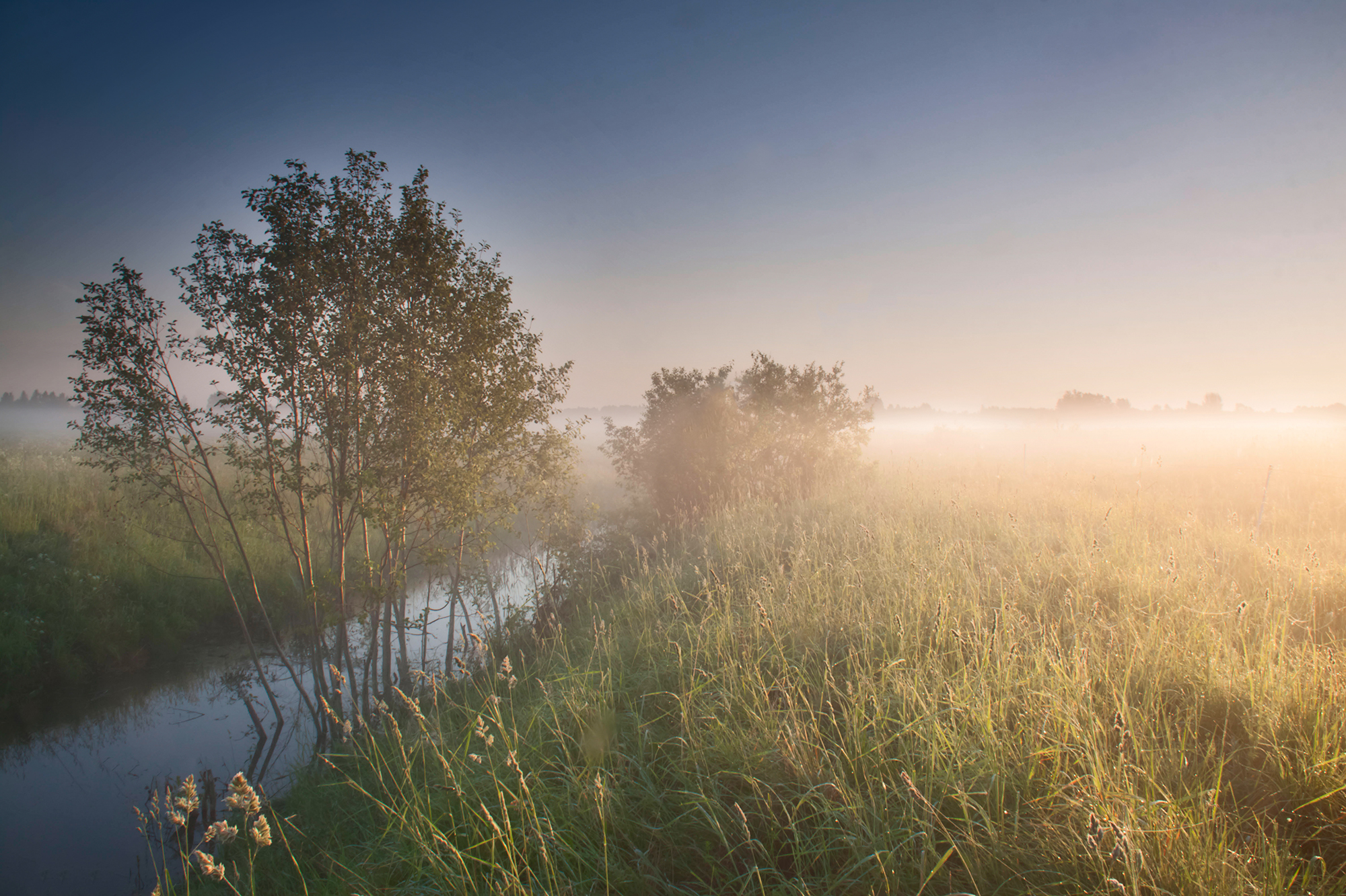 creek,fog,morning,summer, Eugenijus Rauduve