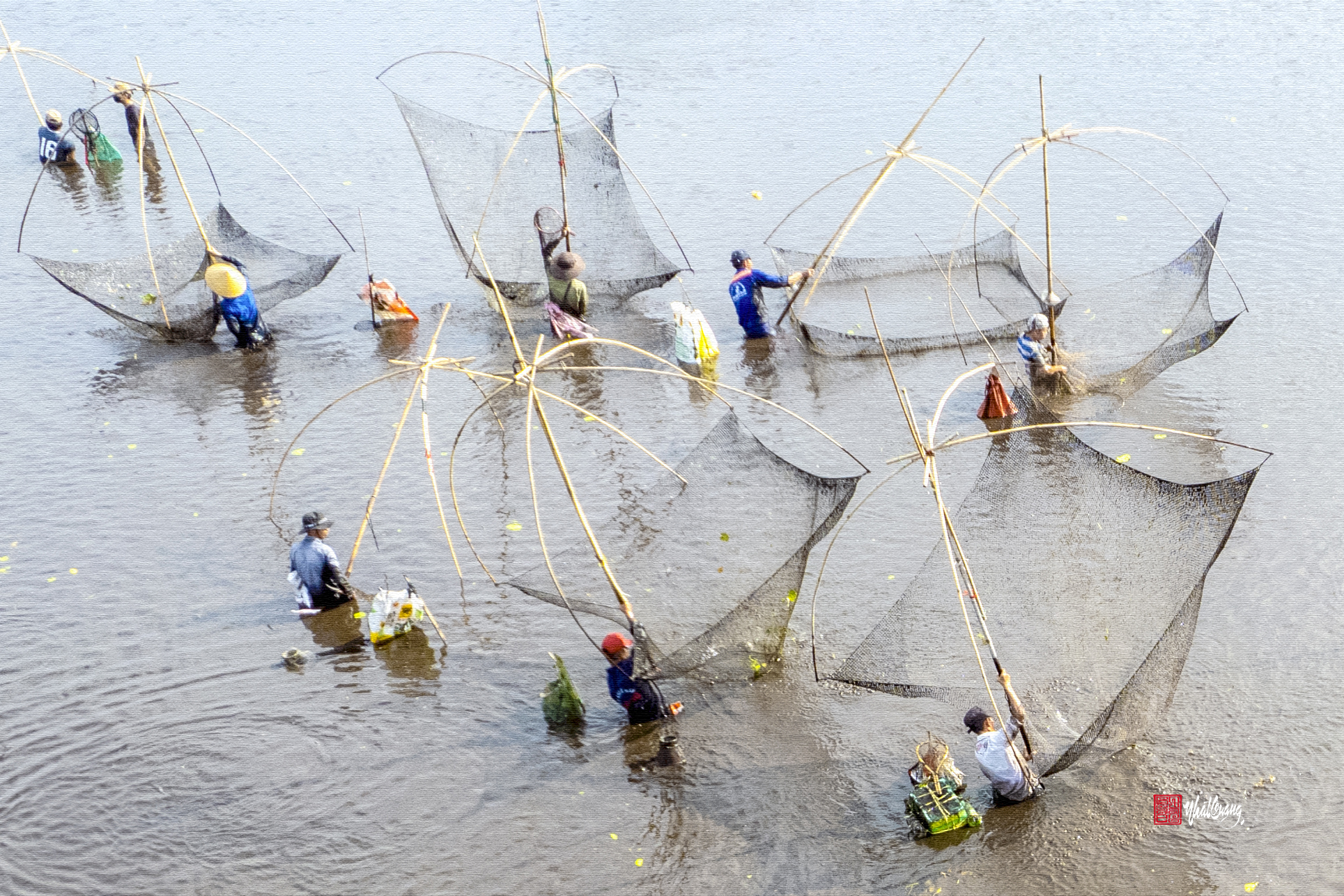 , Le Nhat Quang