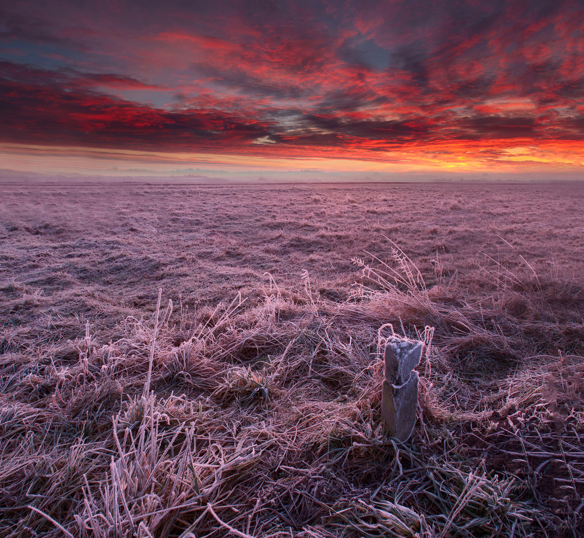 red sky,morning,dawn,field, Eugenijus Rauduve