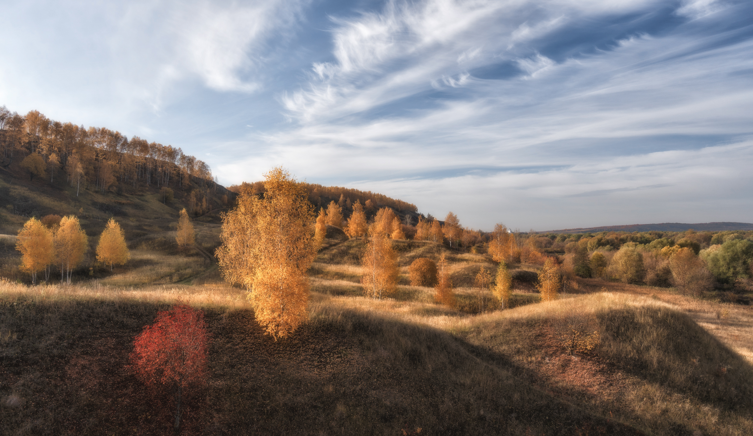 осень  деревья небо, Колесов Андрей