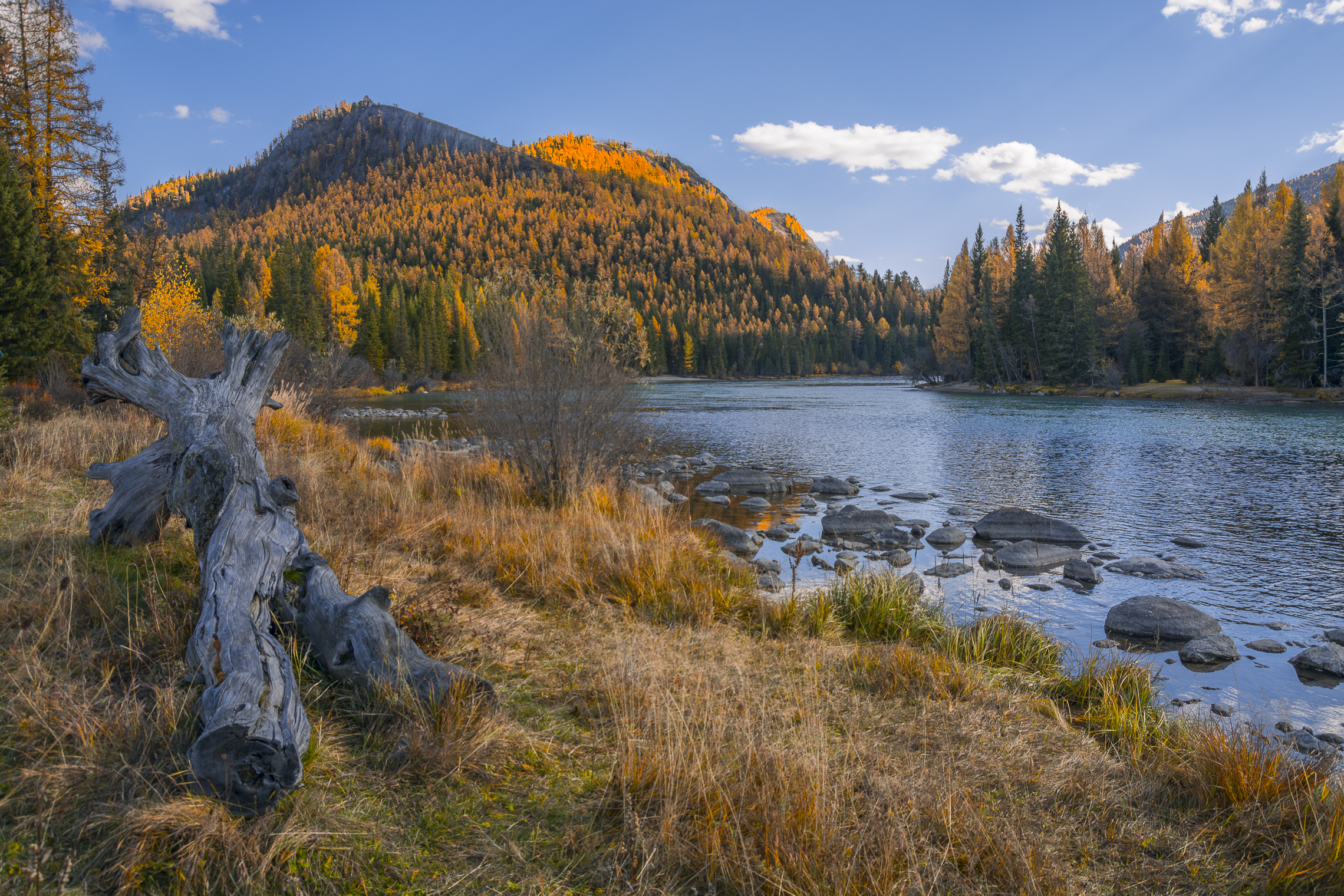 россия, горный алтай, река, осень, Андрей Поляков