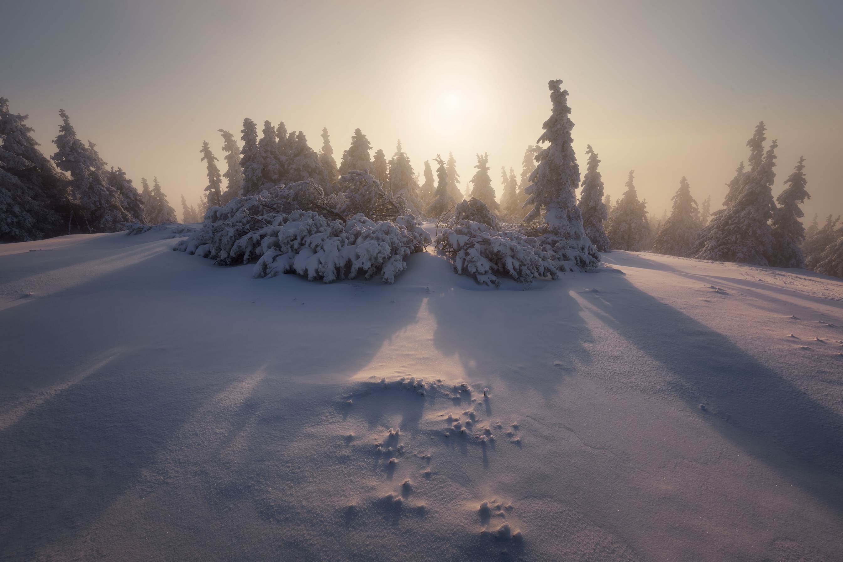 landscape, winter, Petr Fiala