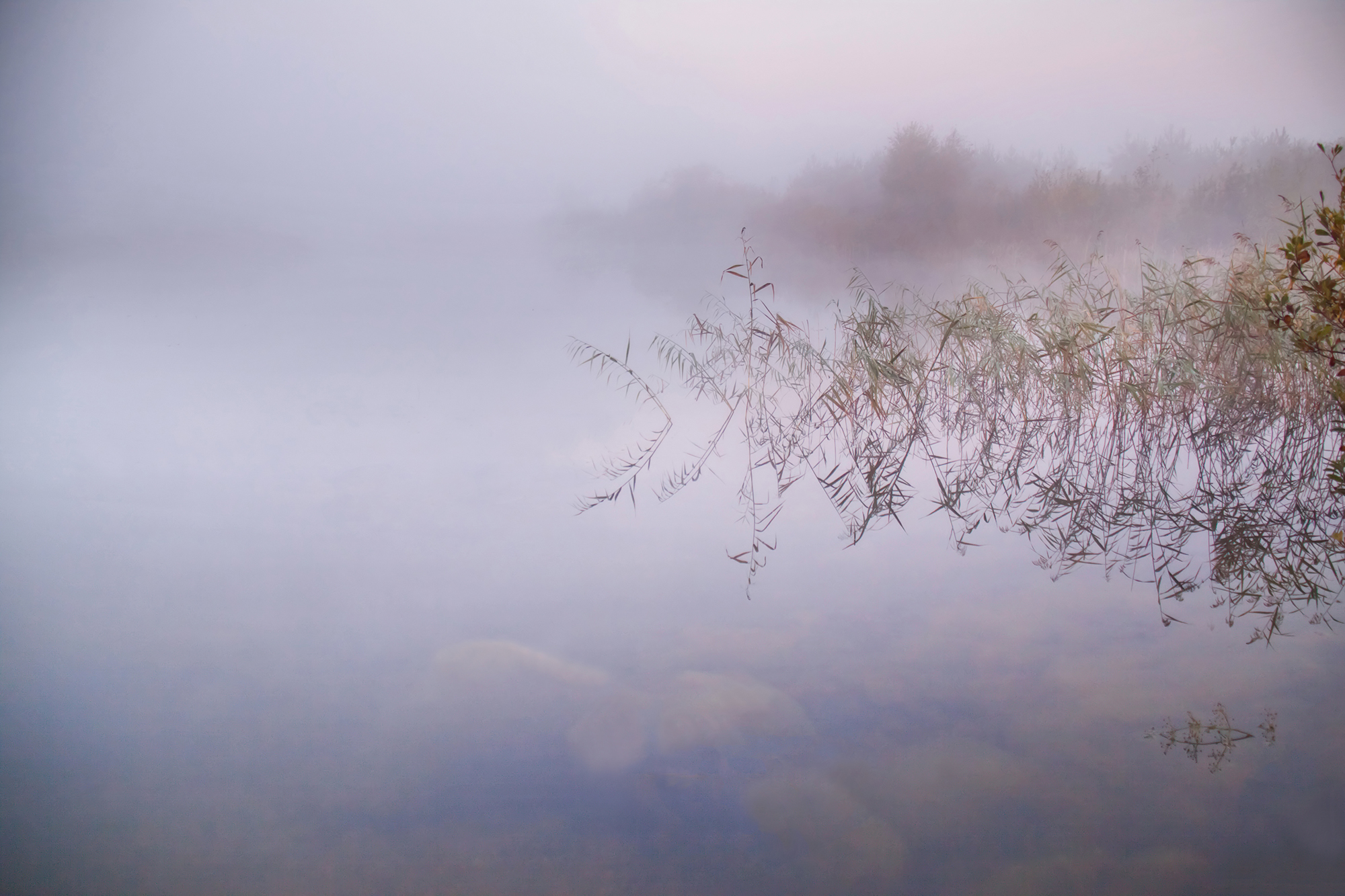 lake,fog,stones, Eugenijus Rauduve