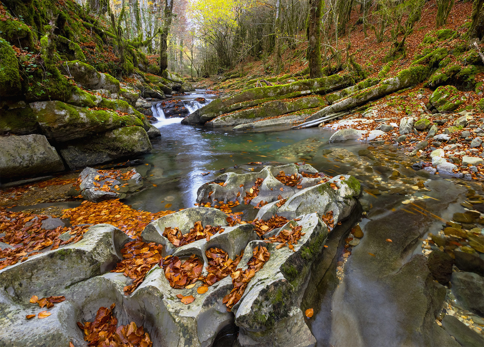 photography, mountain, autumn, fog, landscape, photo, awakening, flowers, land, landmark, lands, soft ligth, ligth, mountains, photo, river, jimenez millan samuel