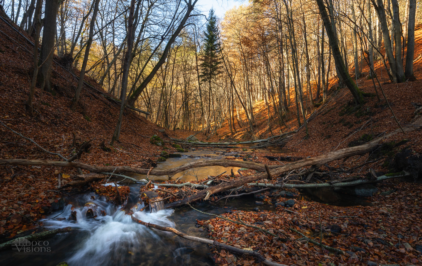 forest,woods,woodland,river,tree,trees,nature,autumn,autumnal,, Photo Visions