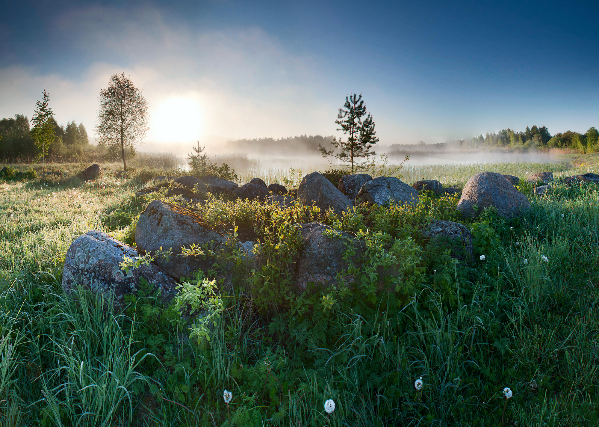 morning,lake,fog,dawn, Eugenijus Rauduve