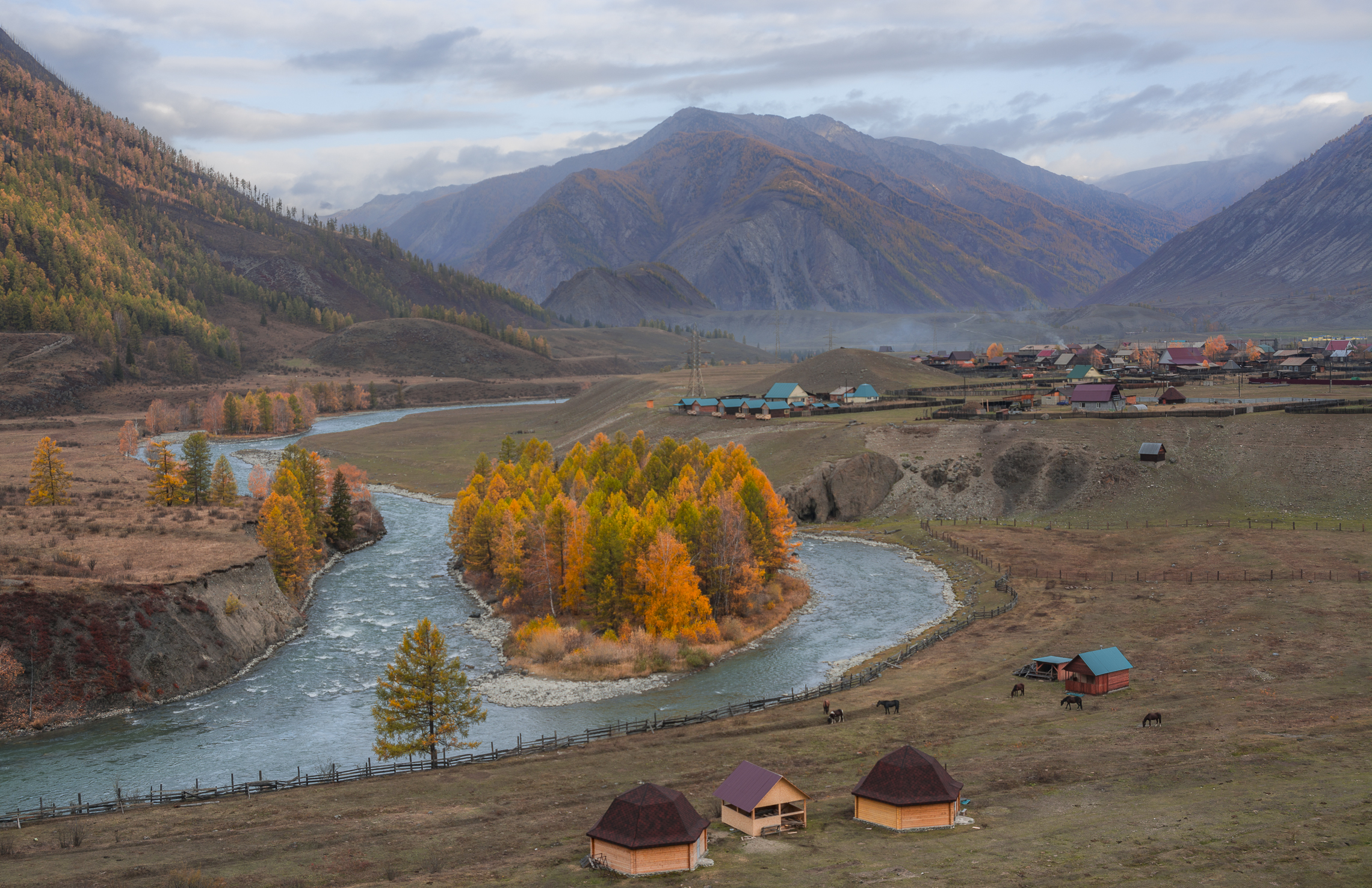 россия,село в улаганском районе республики алтай, утро, осень, островок, Андрей Поляков