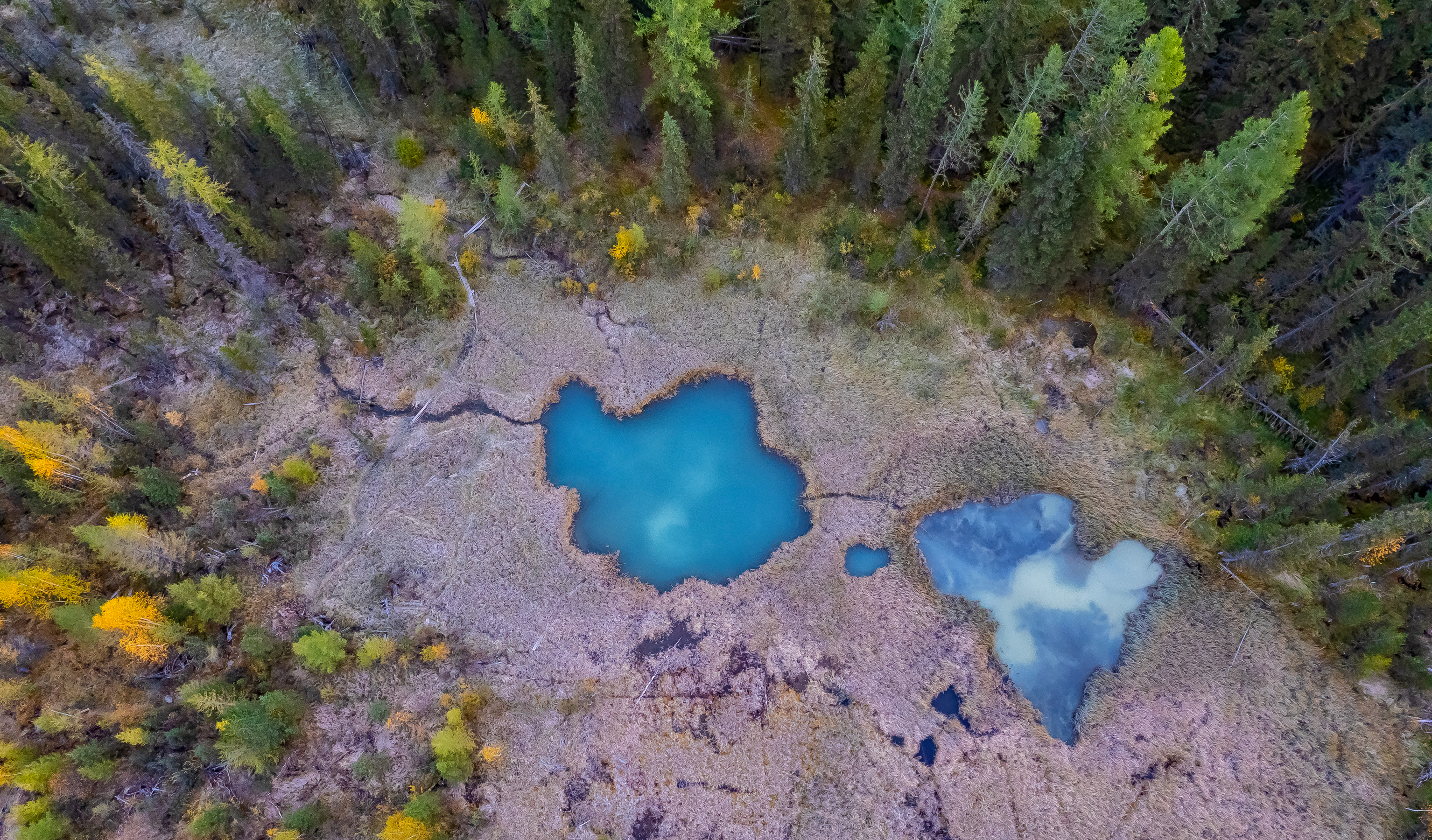 алтай, улаганский район, природа, озеро, Подосинников Максим