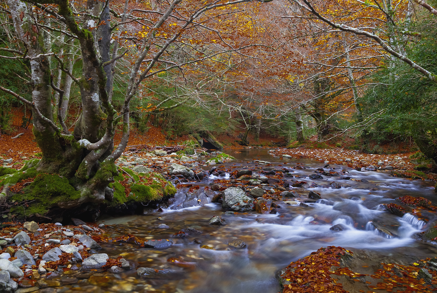 photo, photography, picture, land, landscape, nature, autumn, river, color, mood , colorful, green, river, flow, flowing, forest, mountains, jimenez millan samuel