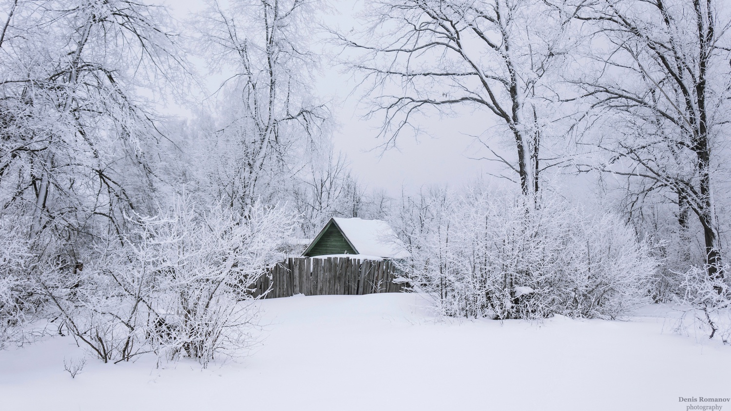 природа ,пейзаж ,зима ,лес nature ,landscape ,forest ,winter, Romanov Denis