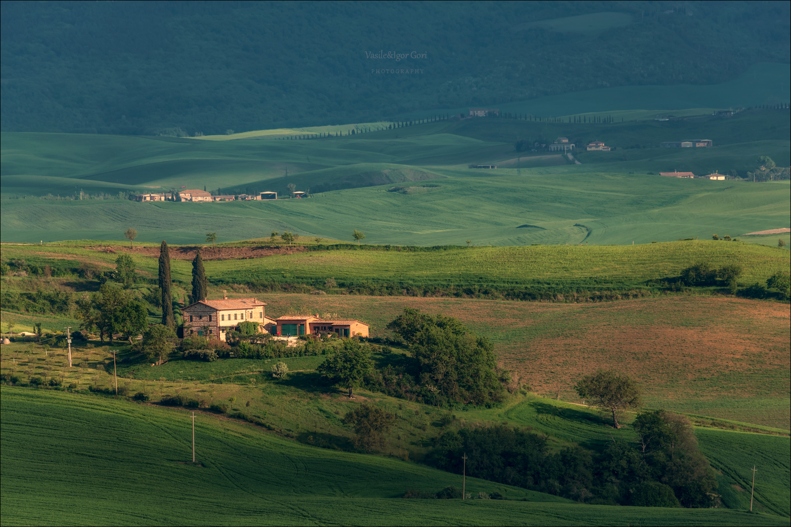 italy,san quirico d\'orcia,italia,италия,тоскана,pienza,кипарис,toscana,весна,tuscany,cipressi,belvedere,пьенца,тени, Гори Василий