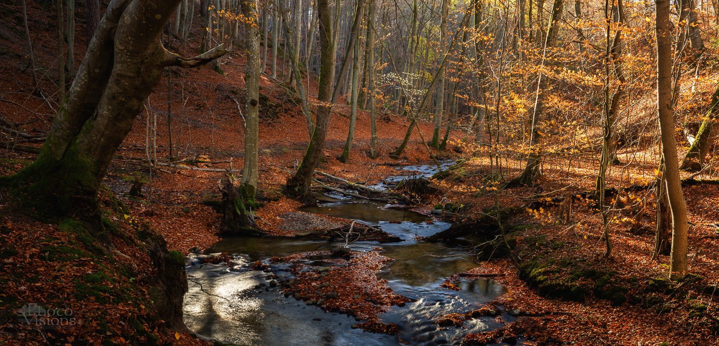 woods,forest,river,creek,autumn,autumnal,colorful,, Photo Visions