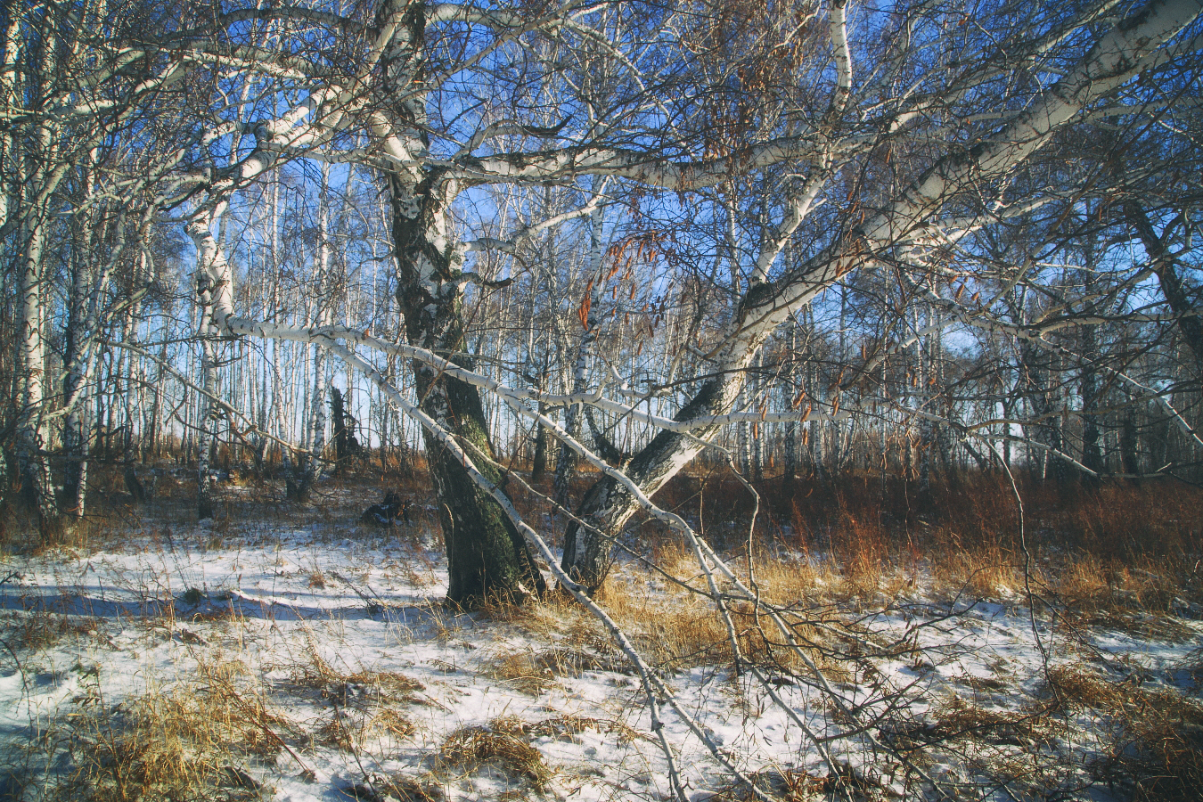 , Евгений Зинов