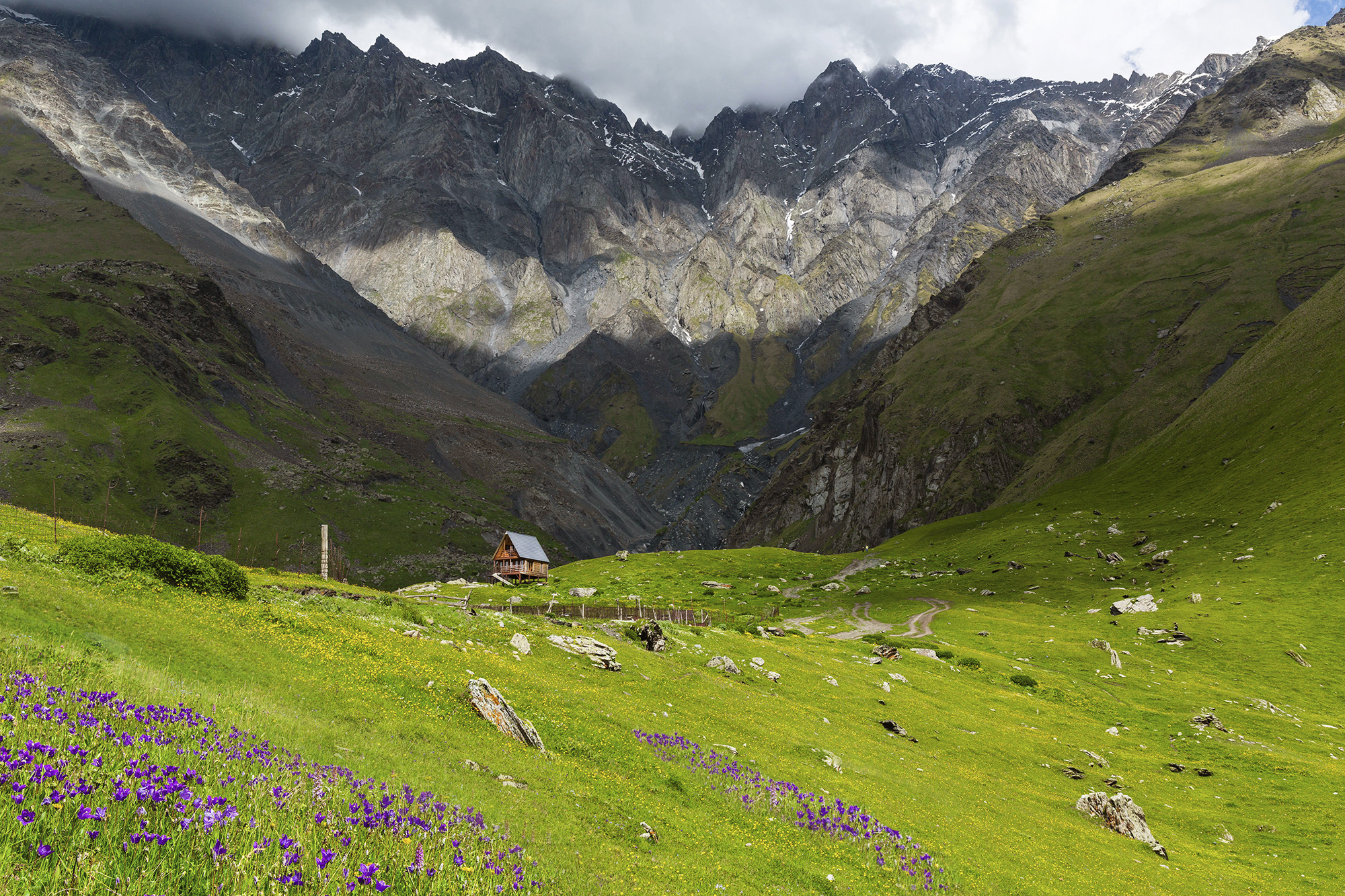 nature, landscape, mountain, georgia, stepantsminda, kazbegi, природа, ландшафт, луг, грузия, казбеги, степанцминда,  Nina Zorina