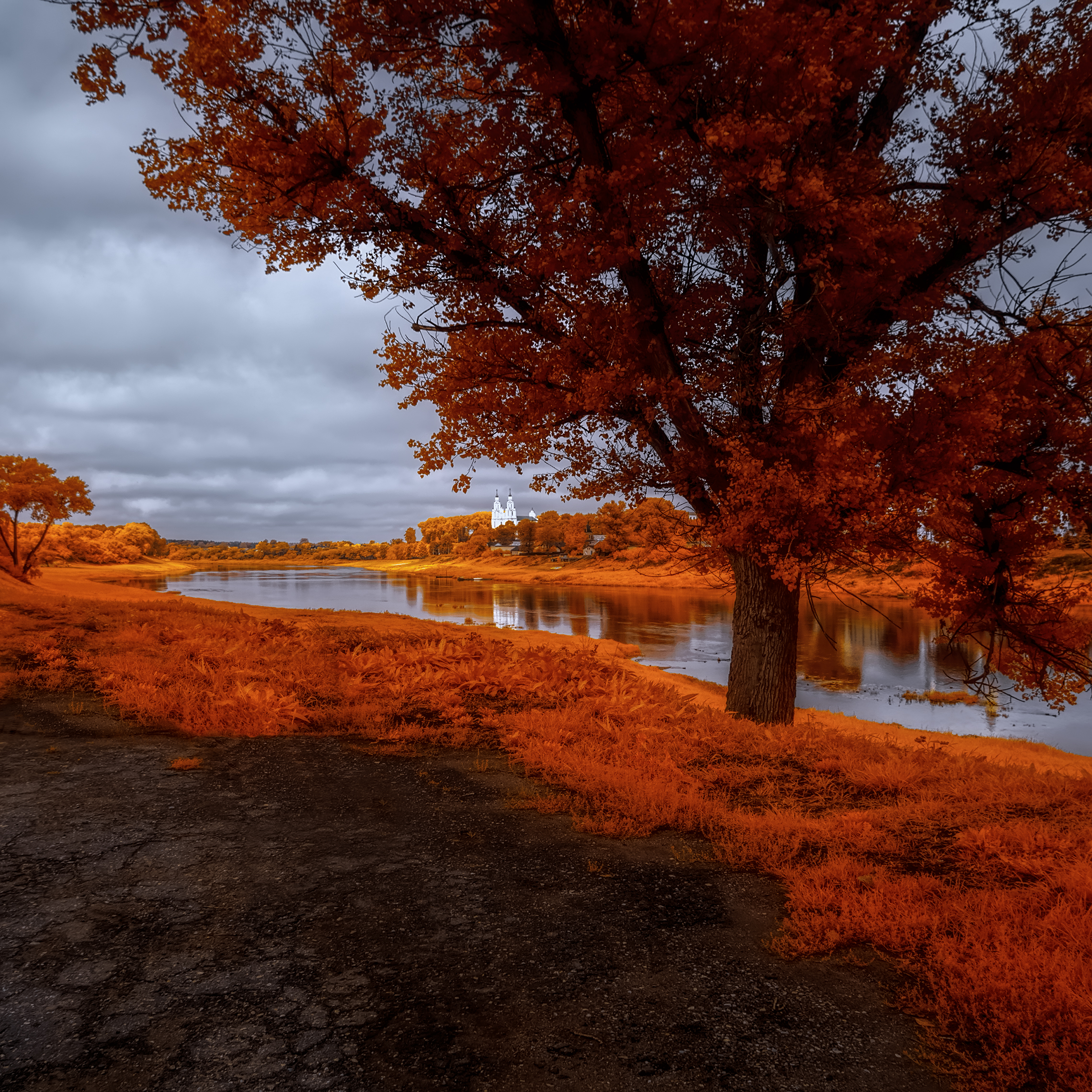 infrared,ик-фото,инфракрасное фото, инфракрасная фотография, пейзаж, лето,  Sixten (Сергей)