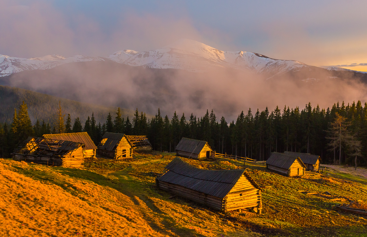 , Александр Подрез