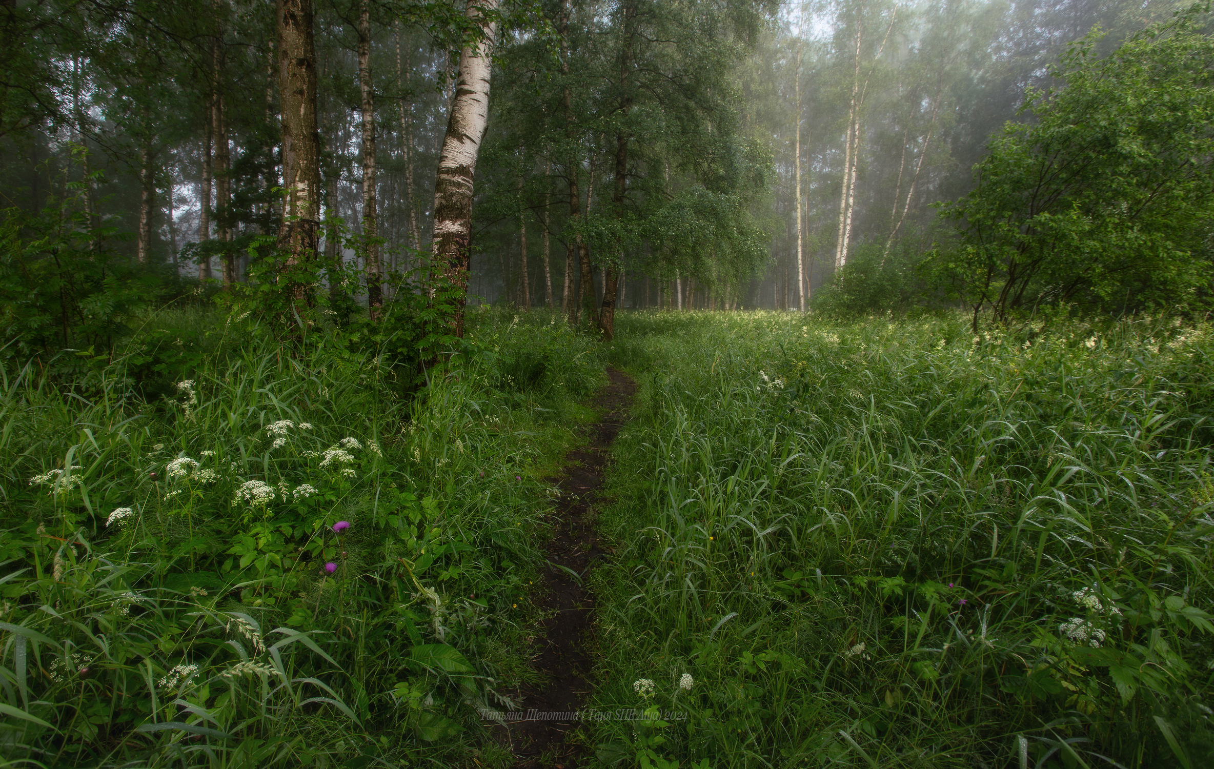 царское село, царское, landscape, tsarskoyeselo,  пейзаж, нижний, отдельный парк , нижний парк, спб,  tsarskoye selo, Щепотина Татьяна