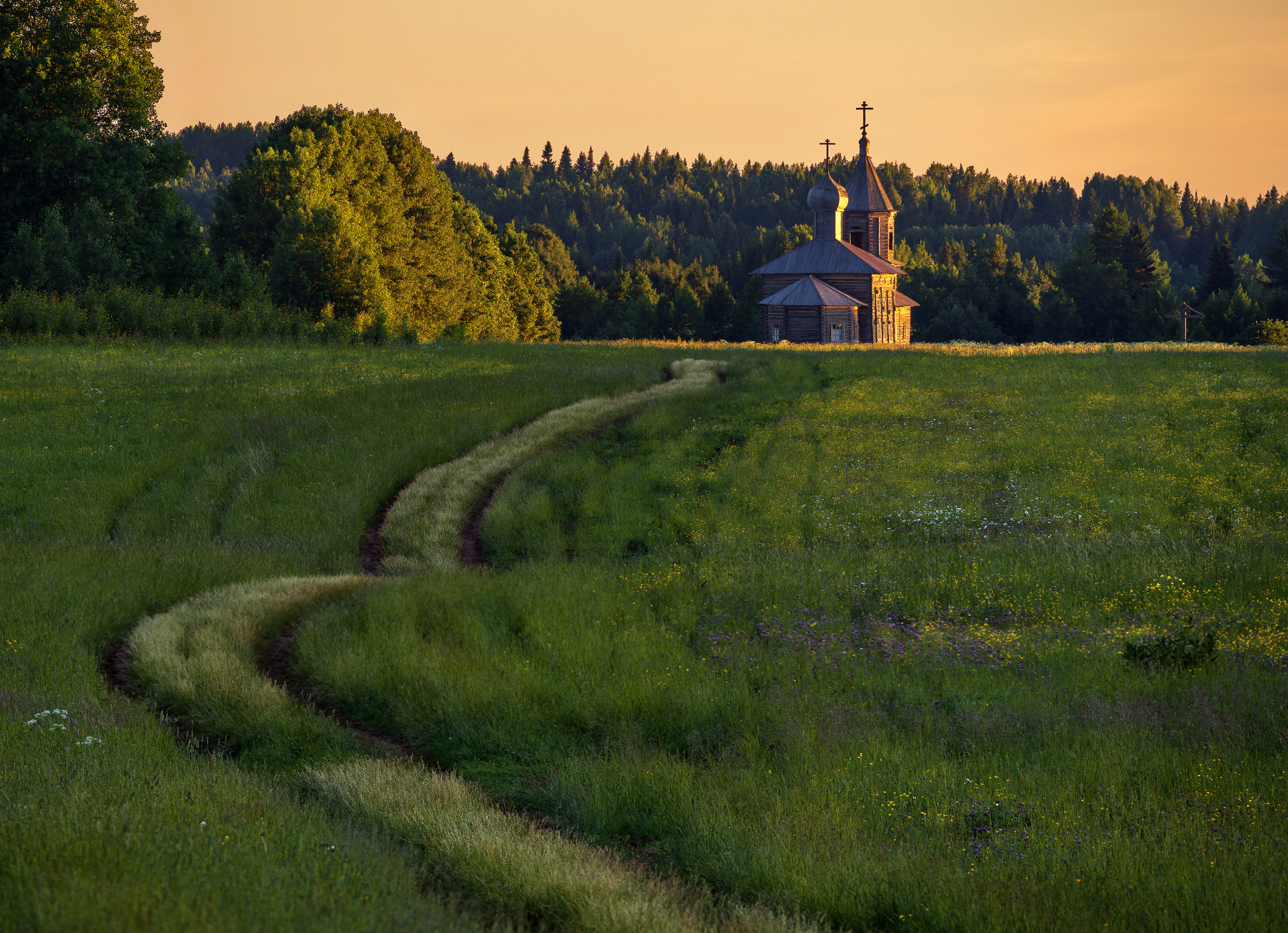 большая нисогора, лешуконье, архангельская область, Олег Зверев