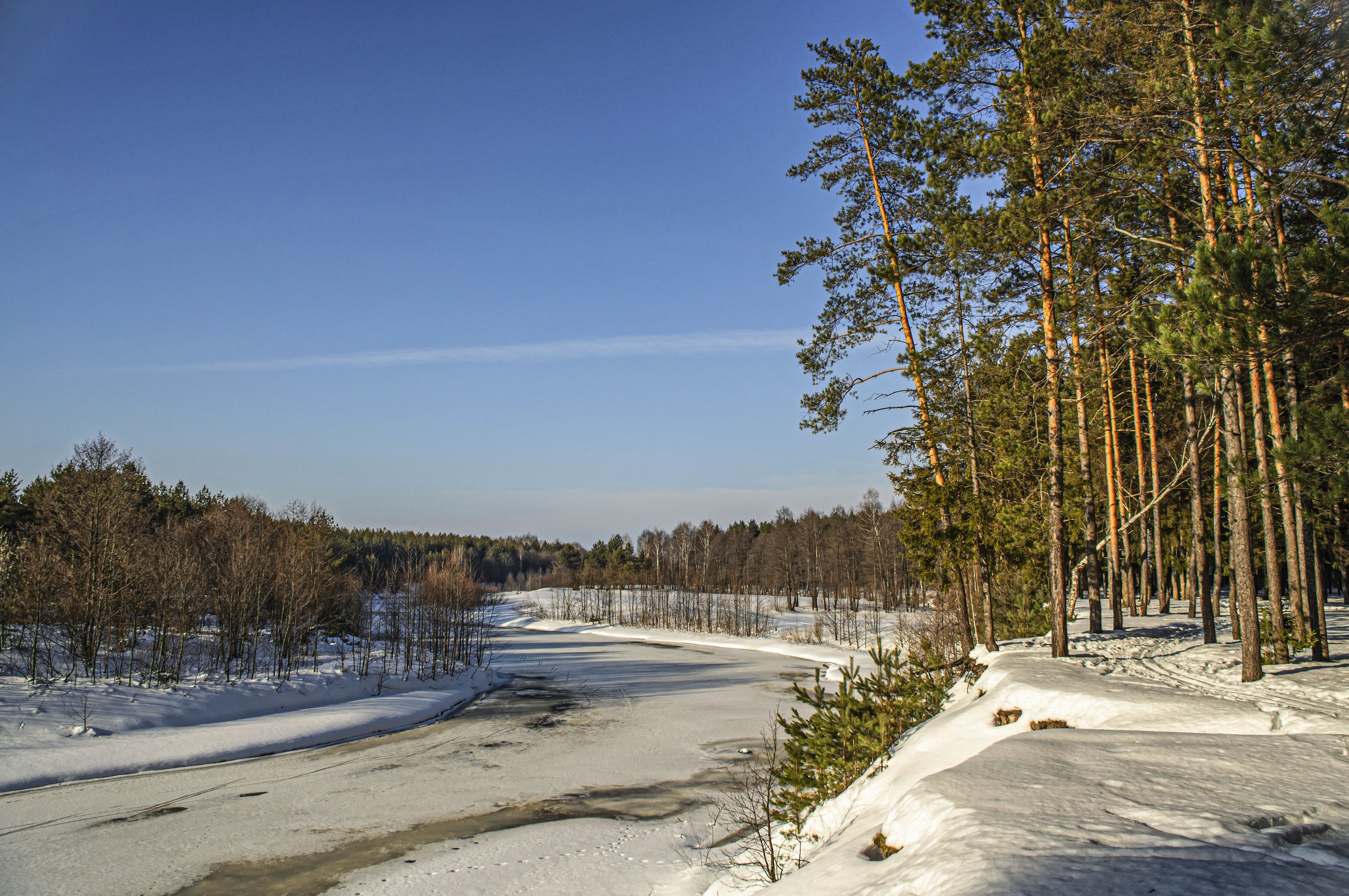 , Шитов Александр