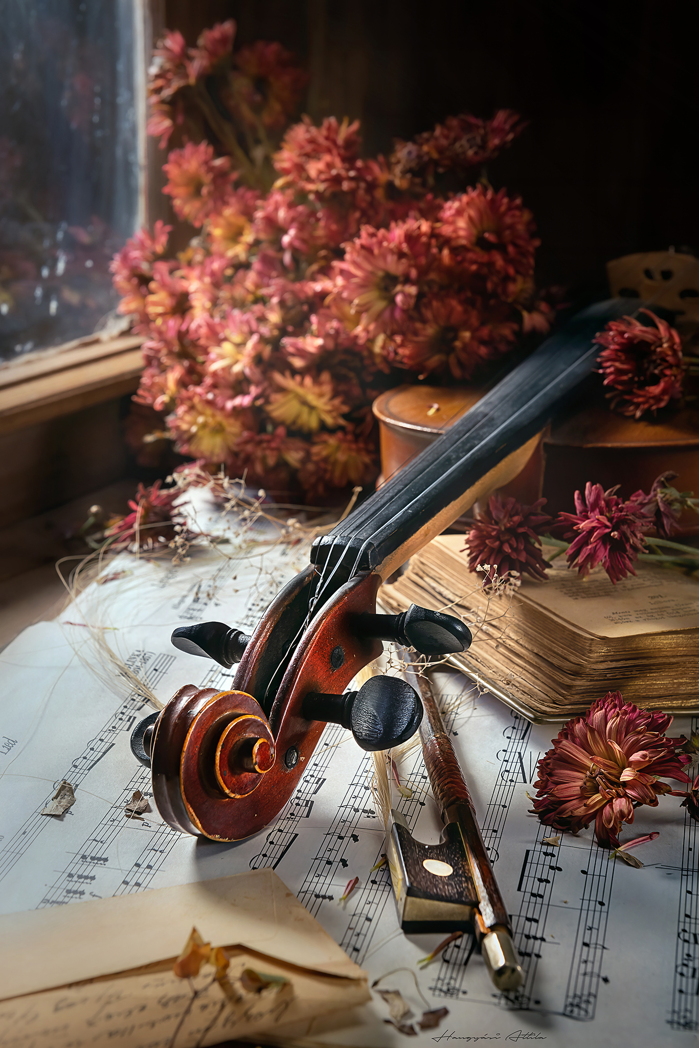 still life, violin,, Hangyasi Attila