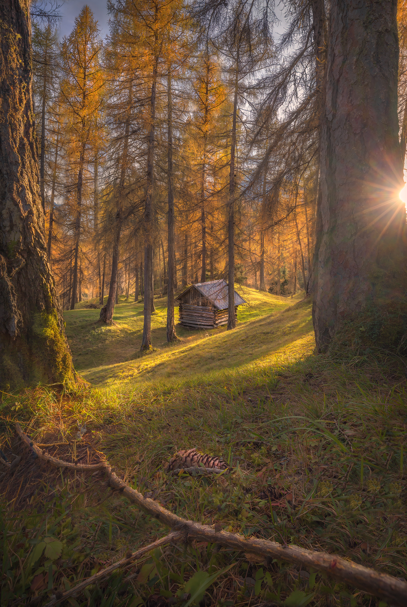 Austria, landscape, tirol, photography, autumn, colors, larches, forest, cabin, Lukas Trixl