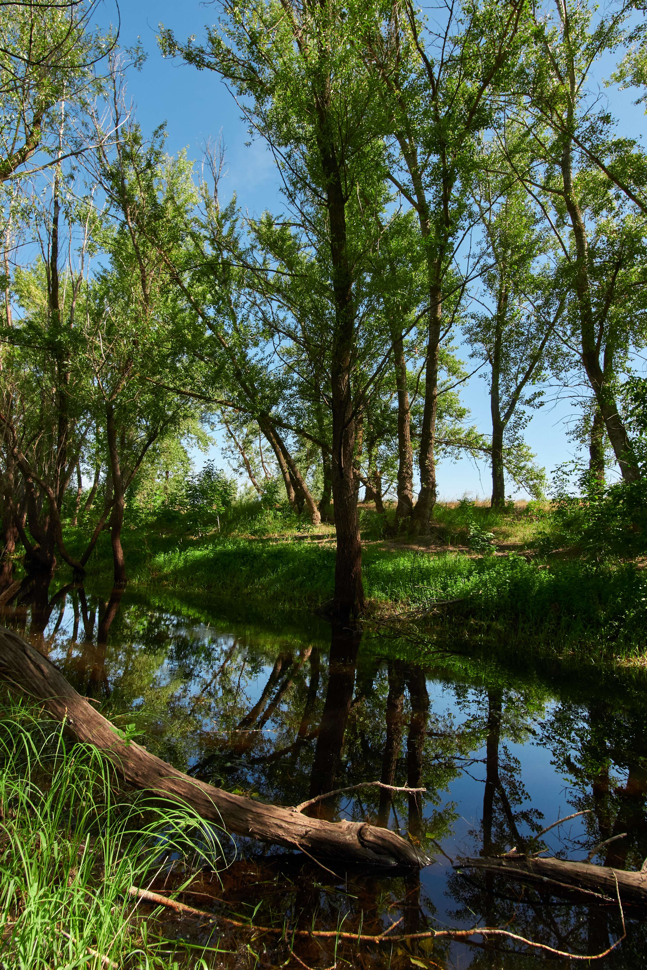 volgograd, russia, landscapes, , Павел Сторчилов