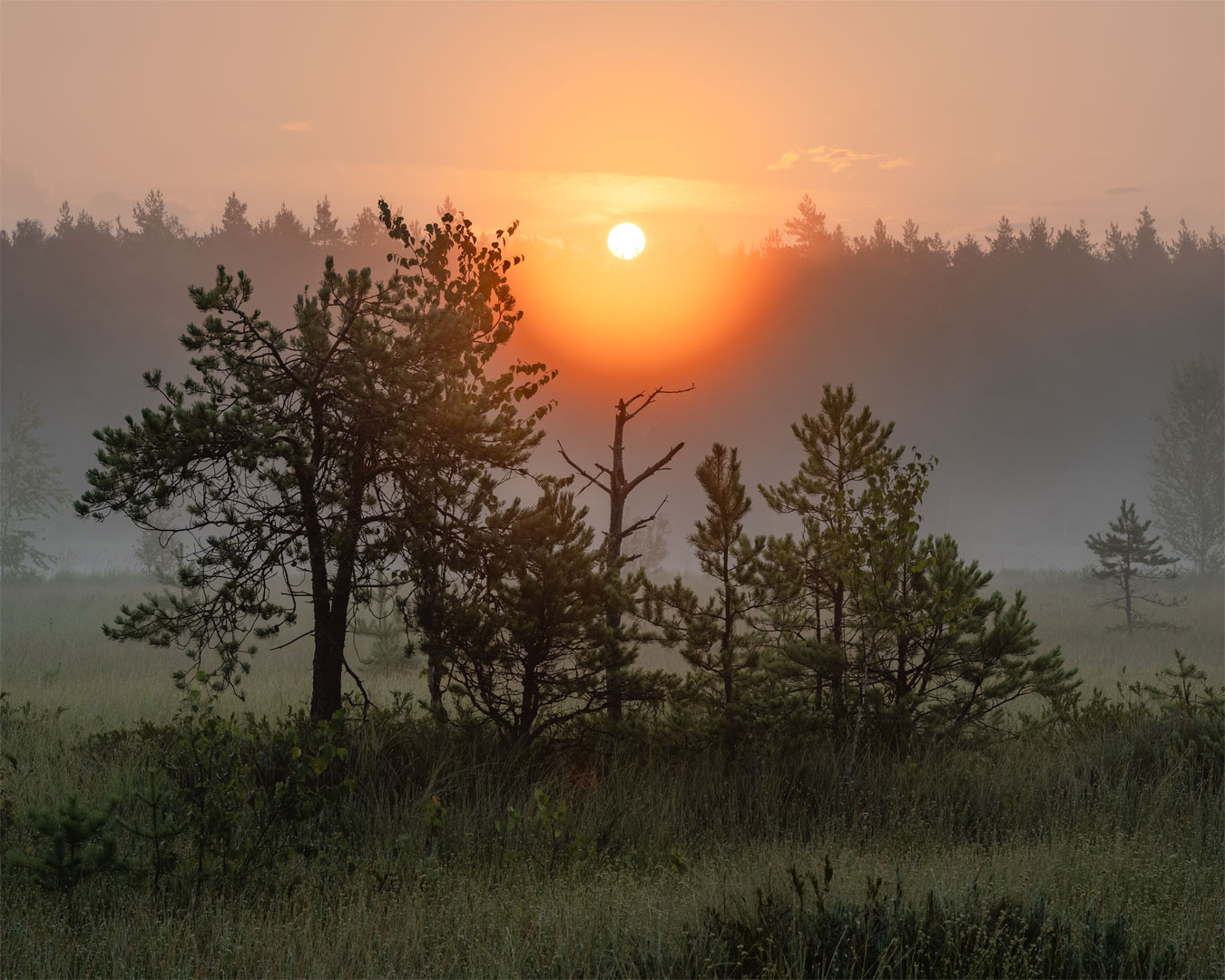 , Бушков Евгений