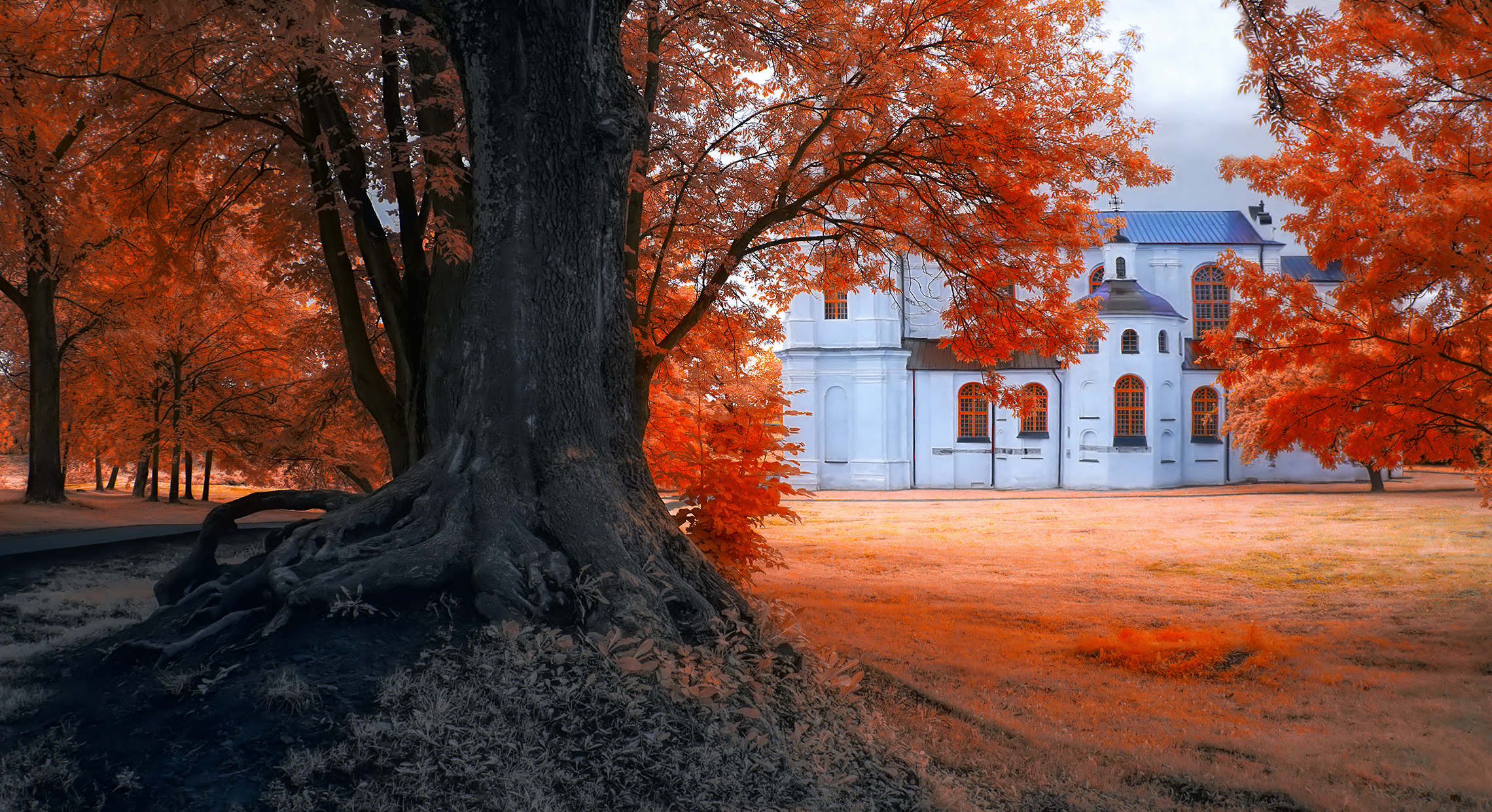 infrared,ик-фото,инфракрасное фото, инфракрасная фотография, пейзаж, лето,  Sixten (Сергей)