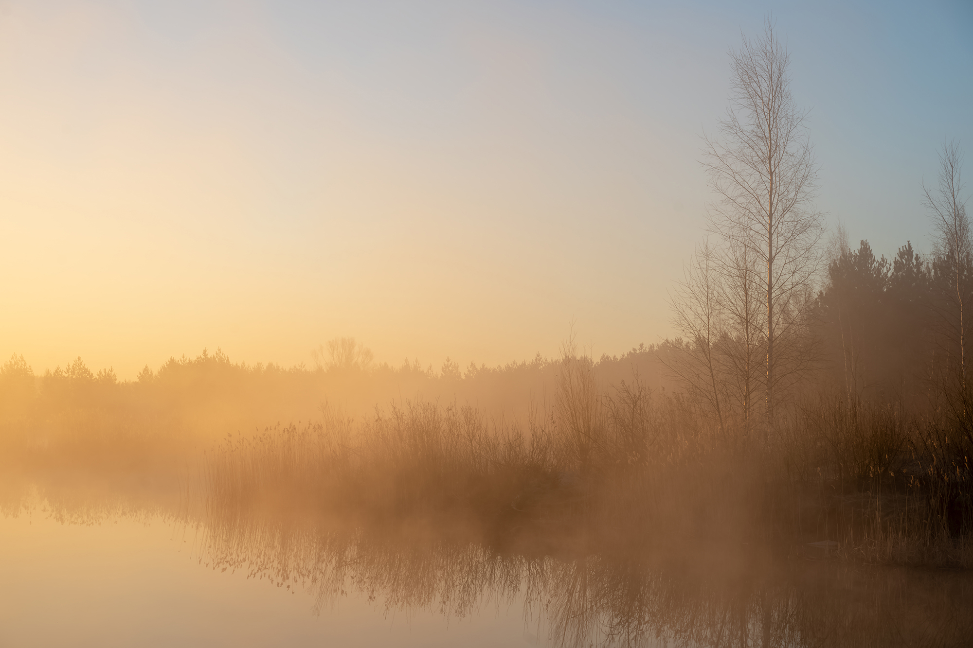 morning,lake,fog,autumn, Eugenijus Rauduve