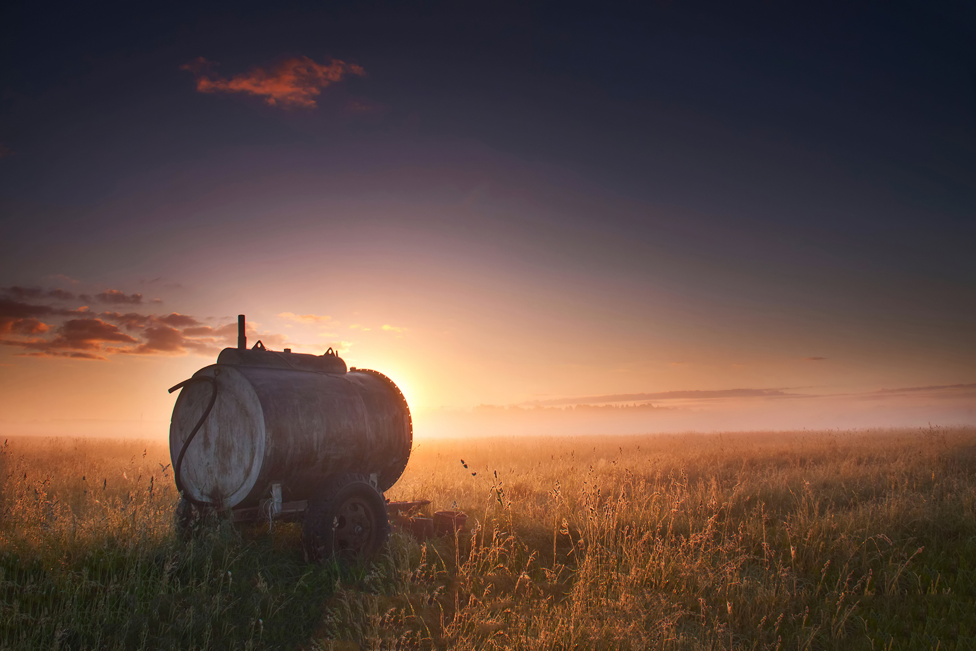 dawn,fog,field, Eugenijus Rauduve