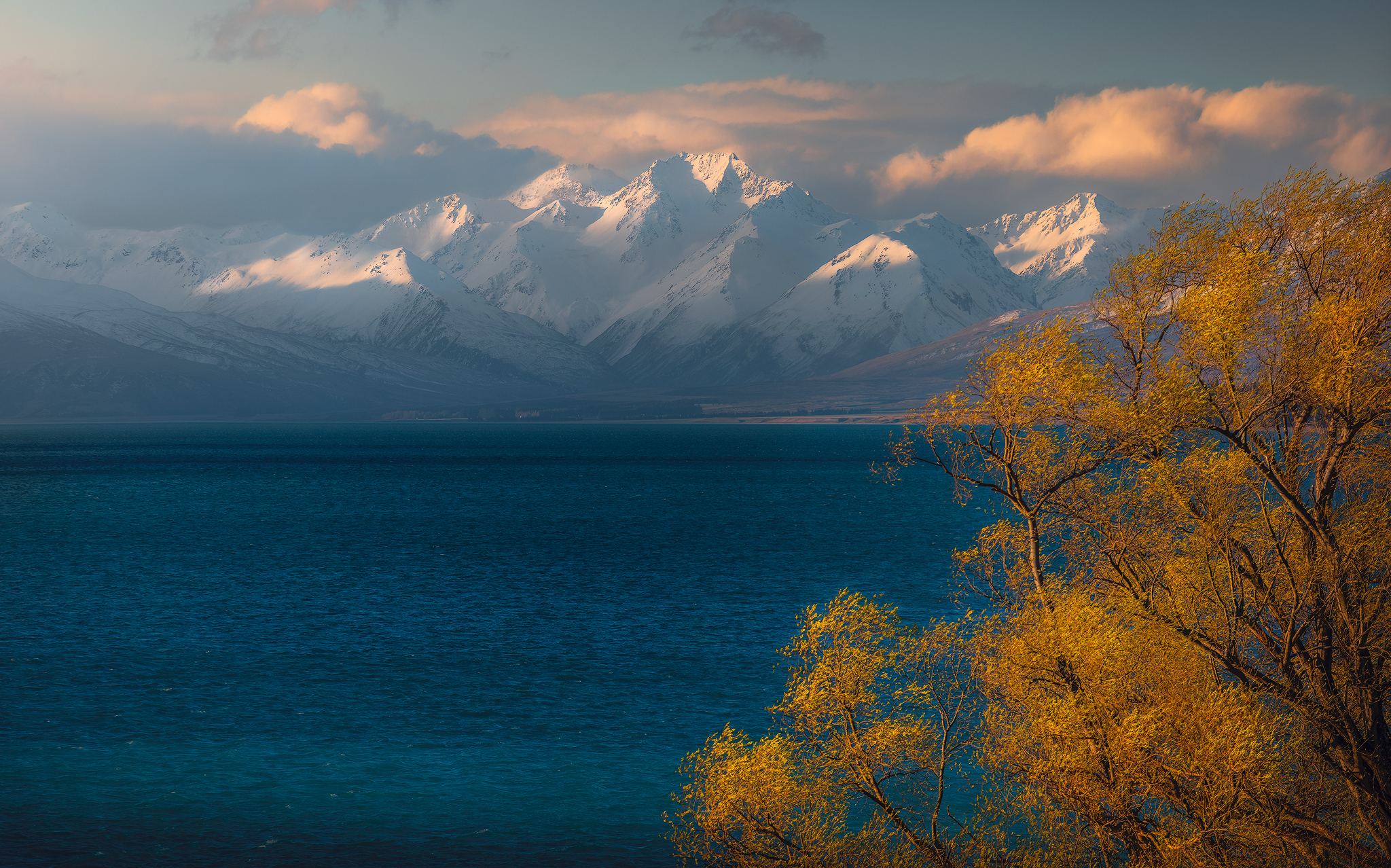 New Zealand, lake tekapo, landscape, spring, lake, travel, Lukas Trixl