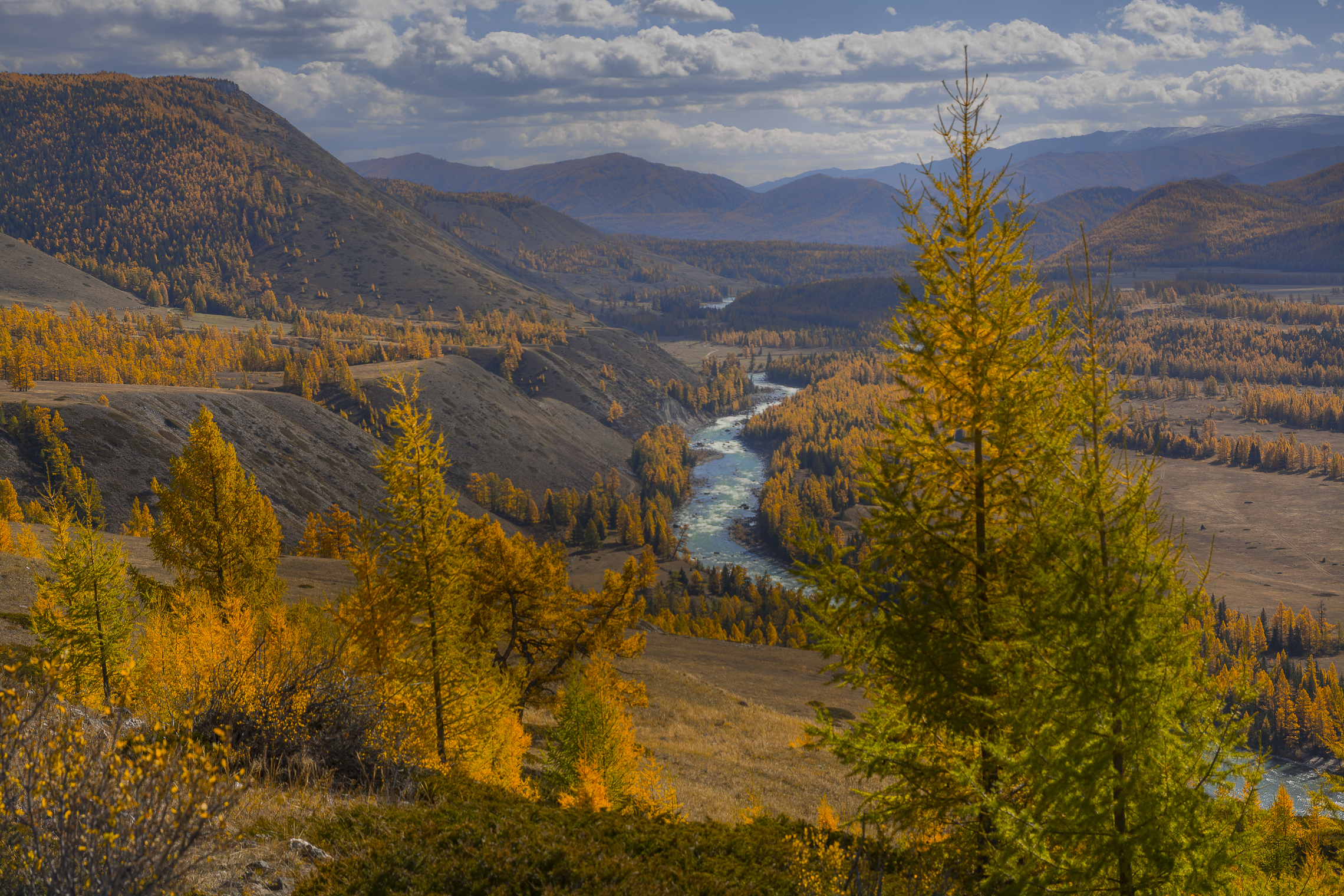 россия, горный алтай, река, осень, Поляков Андрей