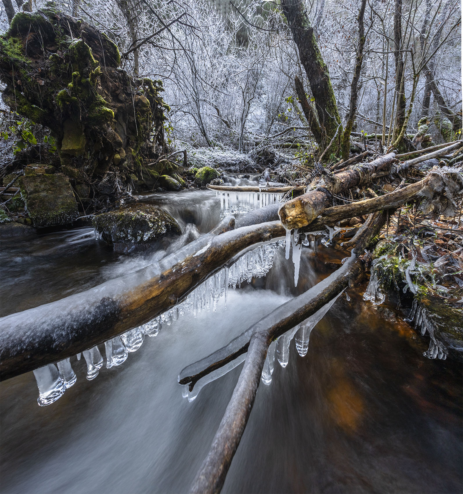 photo, photography, picture, land, landscape, nature, winter, river, color, mood , colorful, ice, river, flow, flowing, forest, mountains, jimenez millan samuel