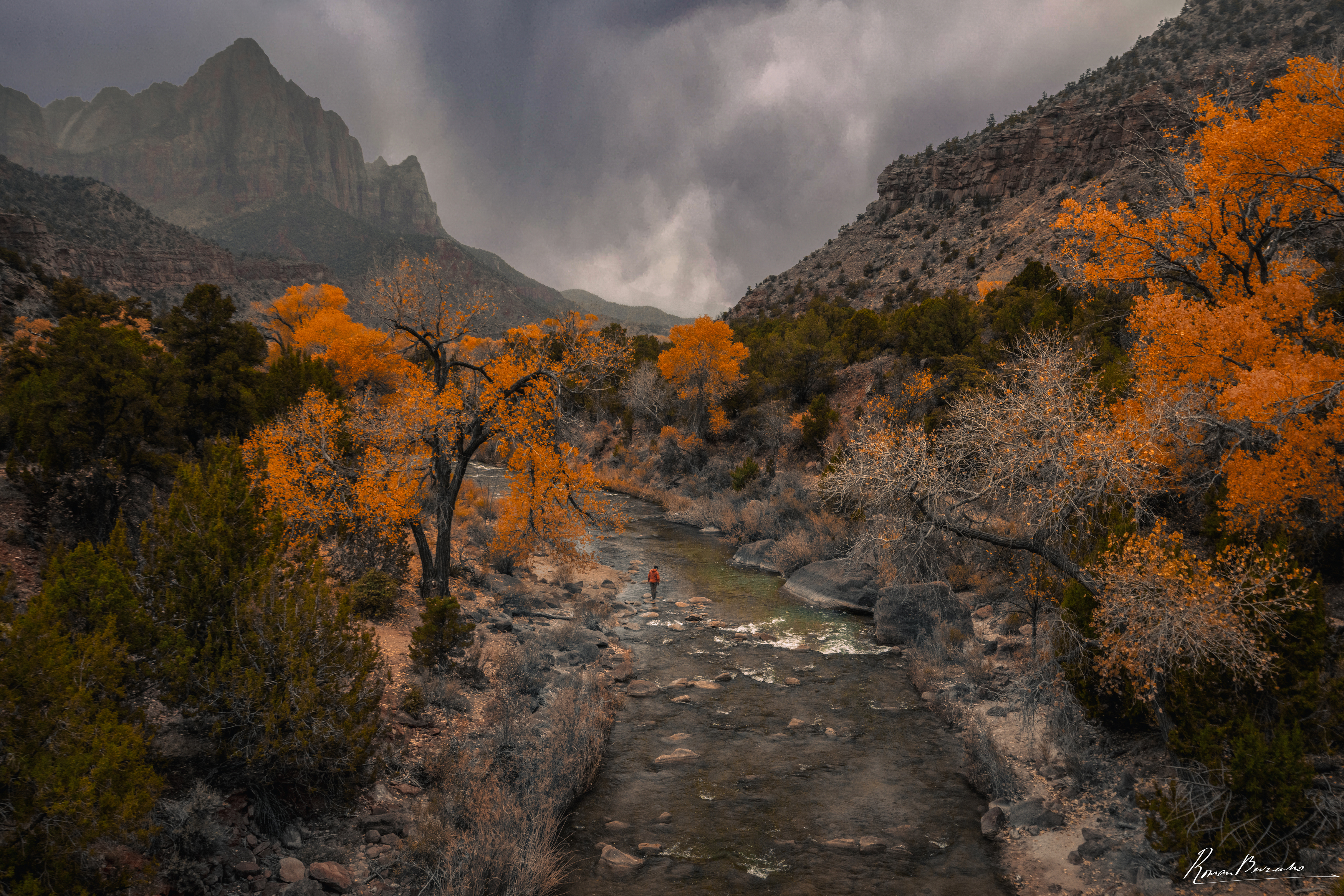 zion, zion national park, usa, us, landscape, Bevzenko Roman