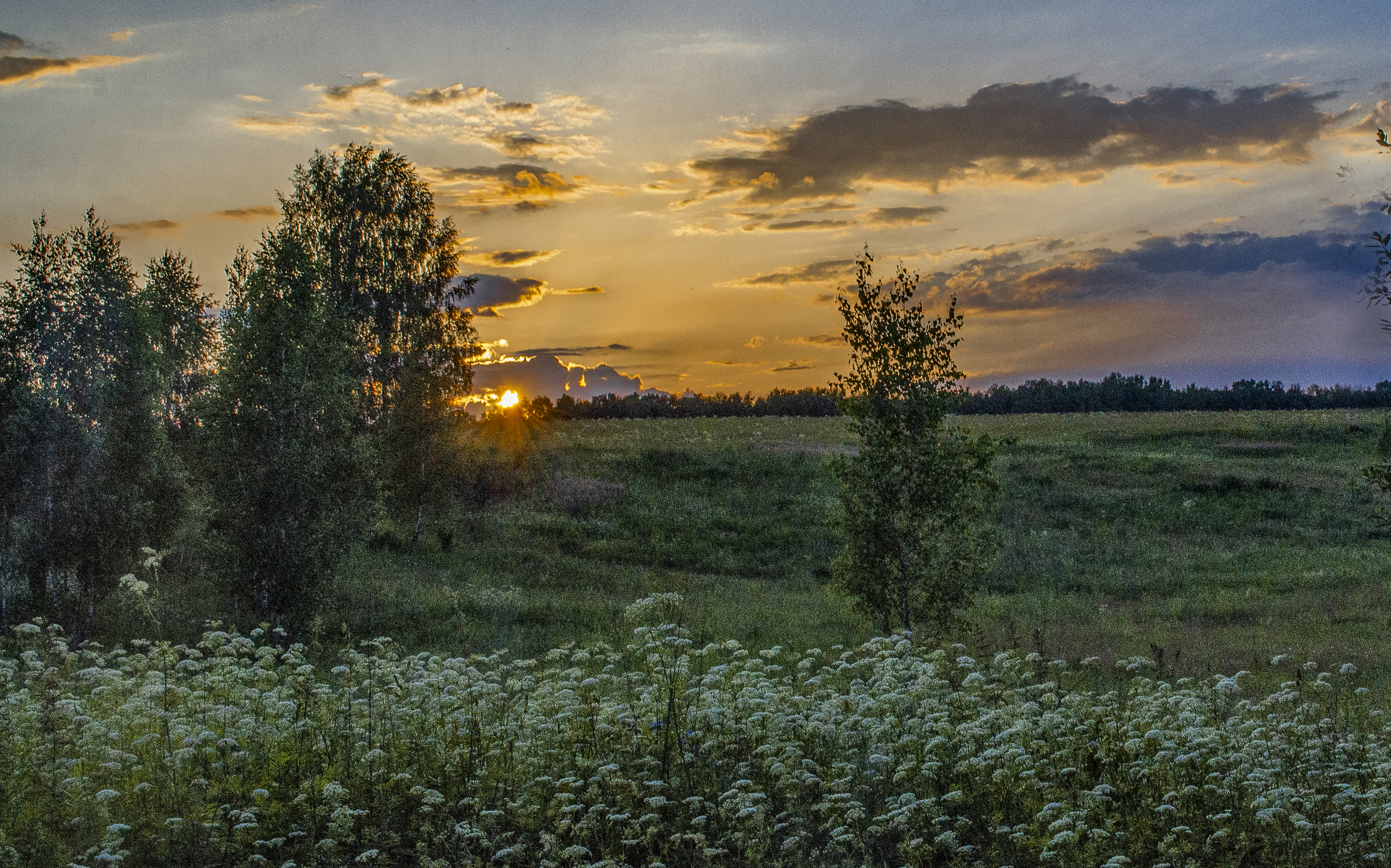 , Александр Березуцкий